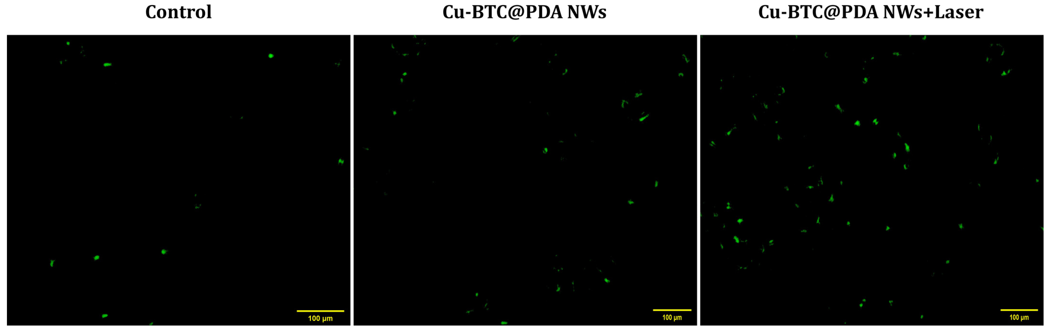 Pharmaceutics 15 00822 g007 Pharmaceutics 15 00822 g007