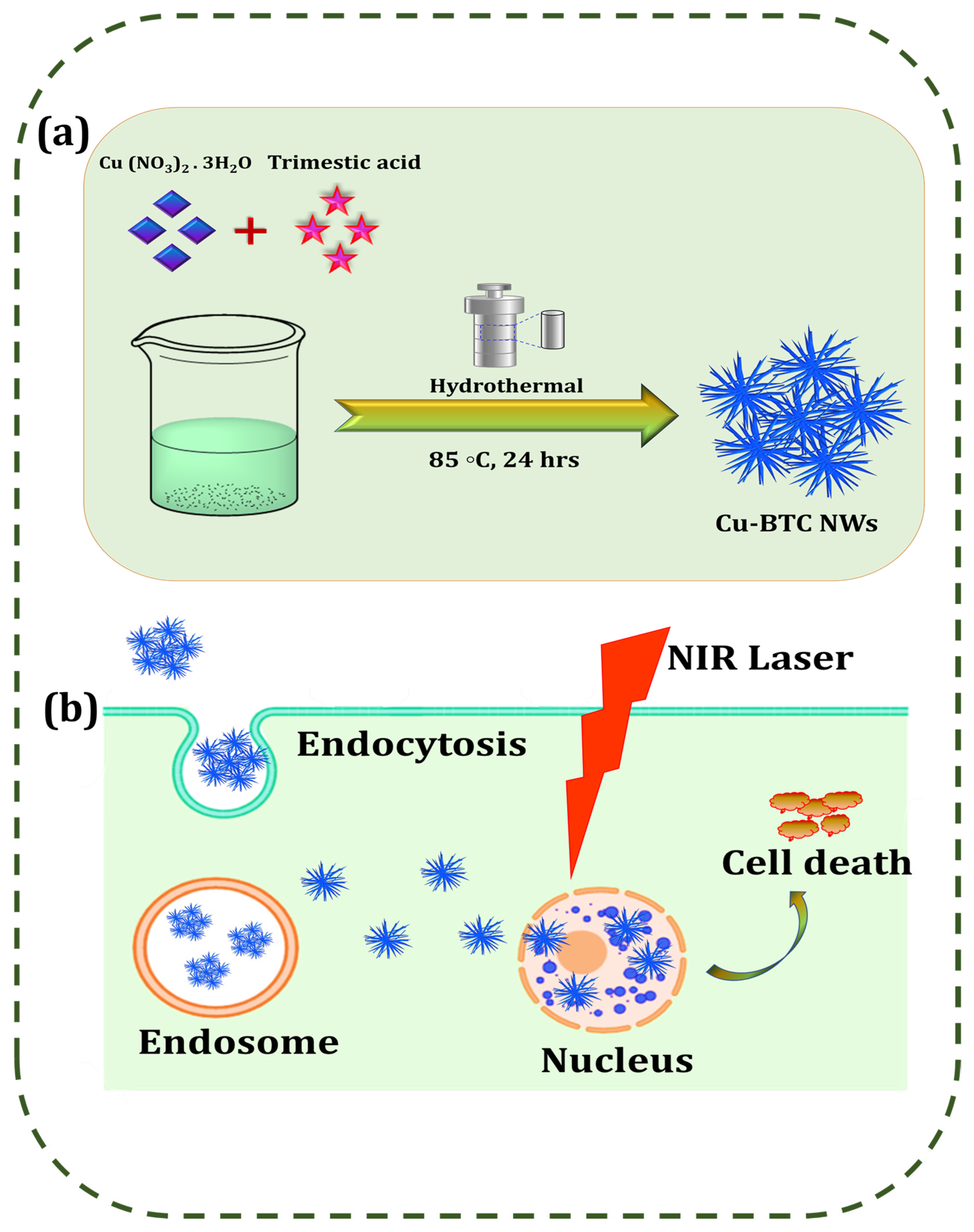 Pharmaceutics 15 00822 sch001 Pharmaceutics 15 00822 sch001