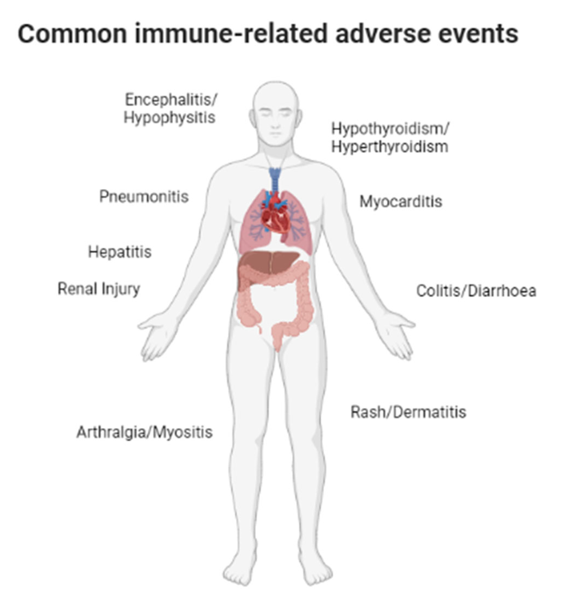 Pharmaceutics 15 00823 g001