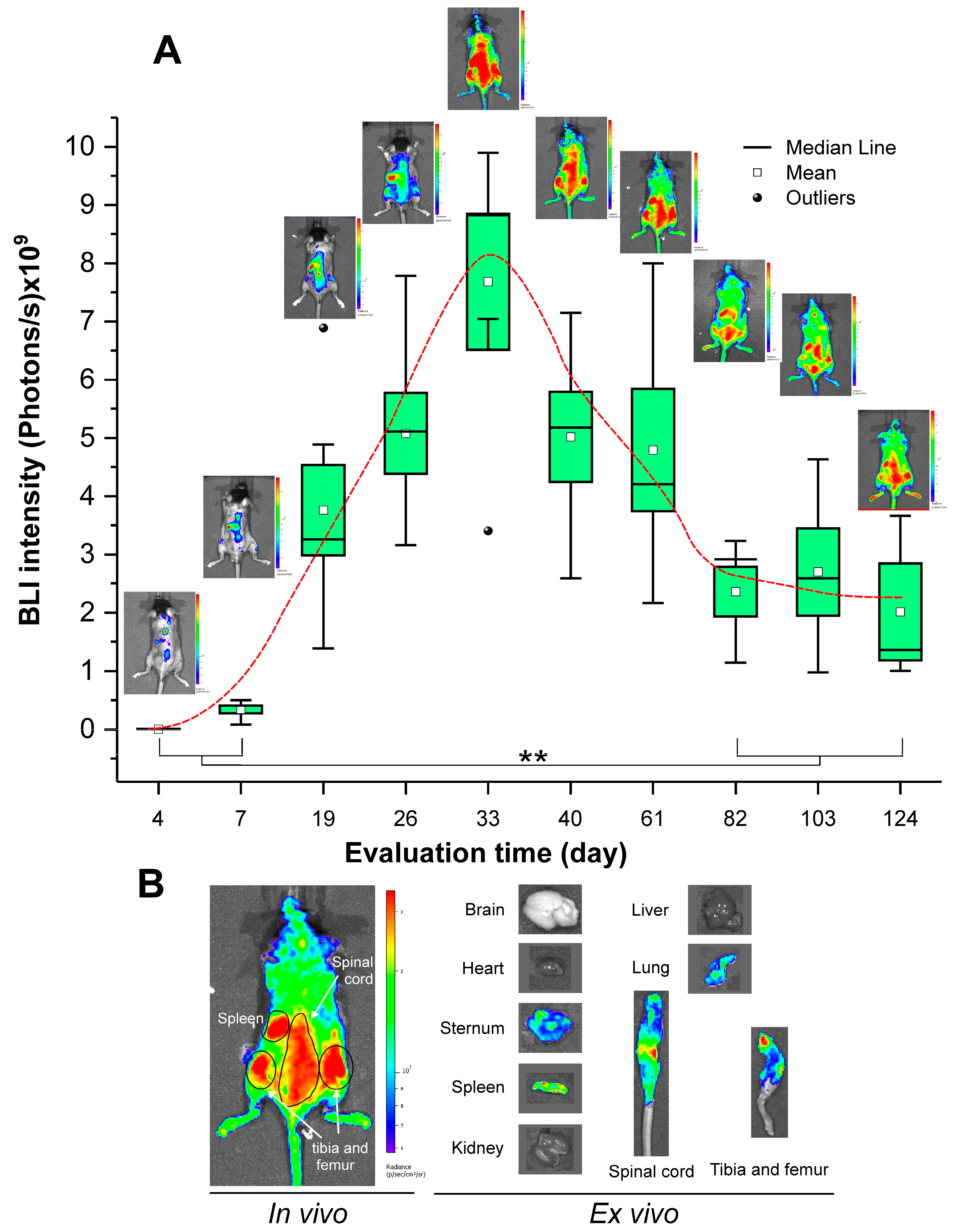 Pharmaceutics 15 00828 g004