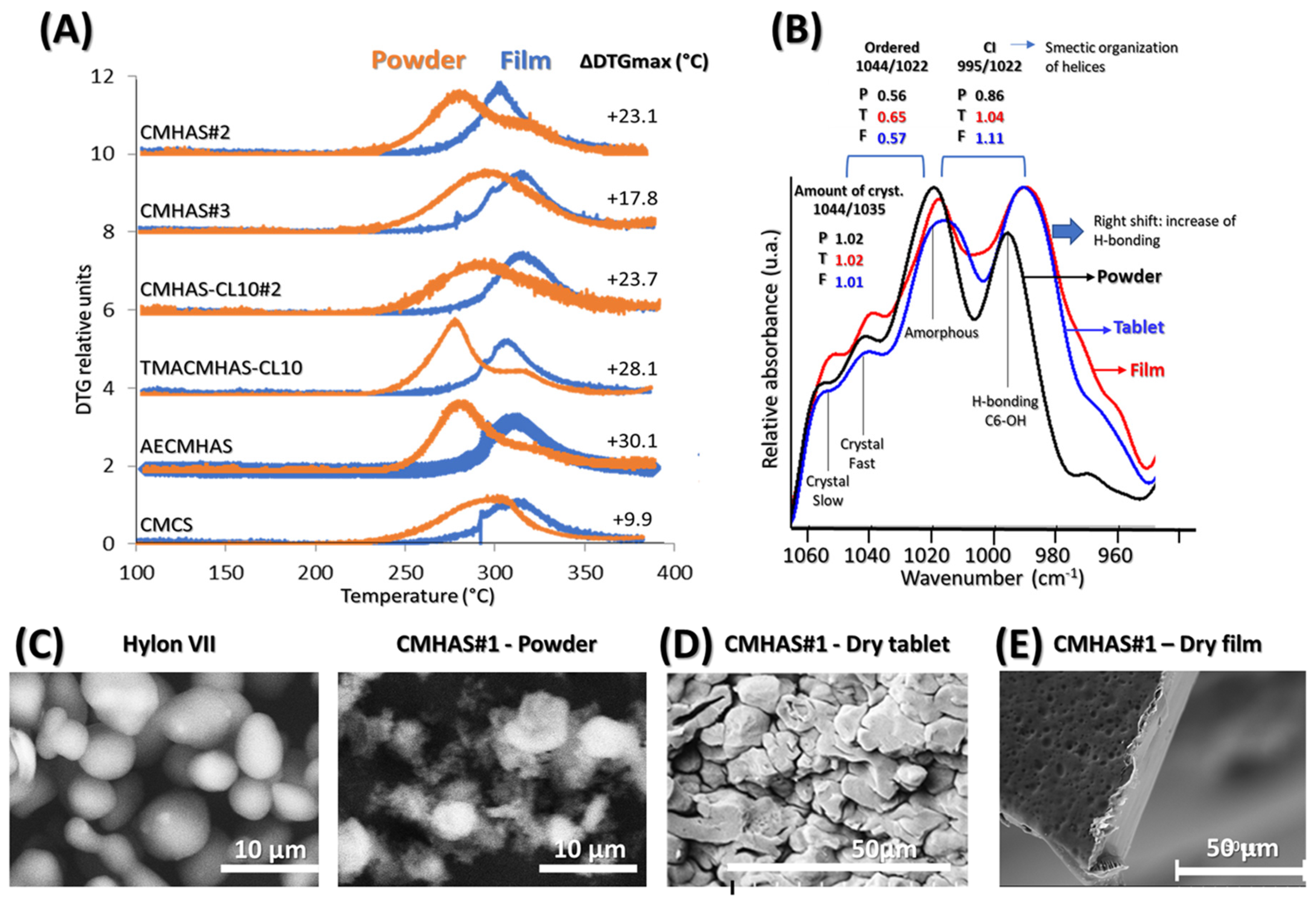Pharmaceutics 15 00834 g006