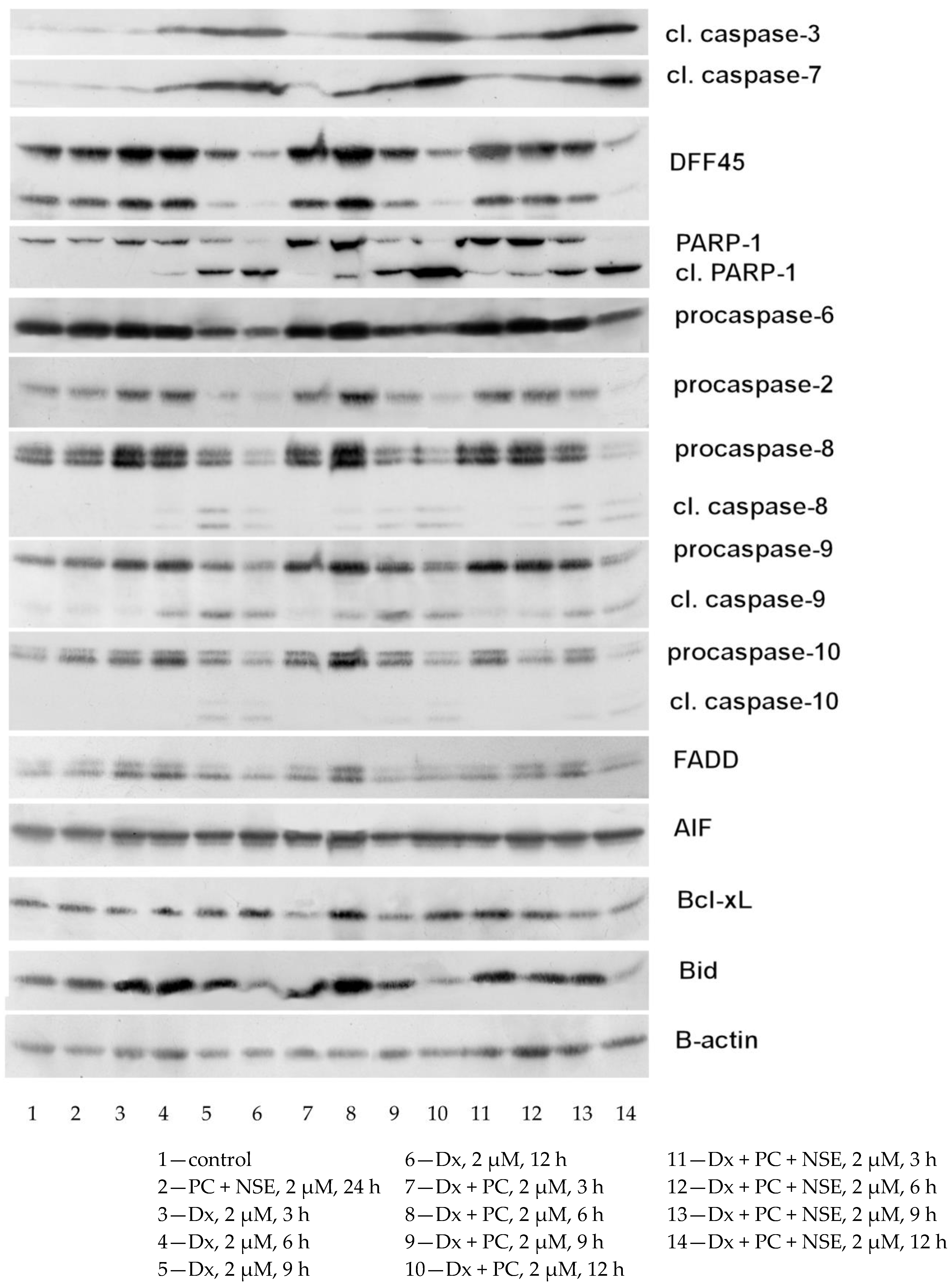 Pharmaceutics 15 00835 g009