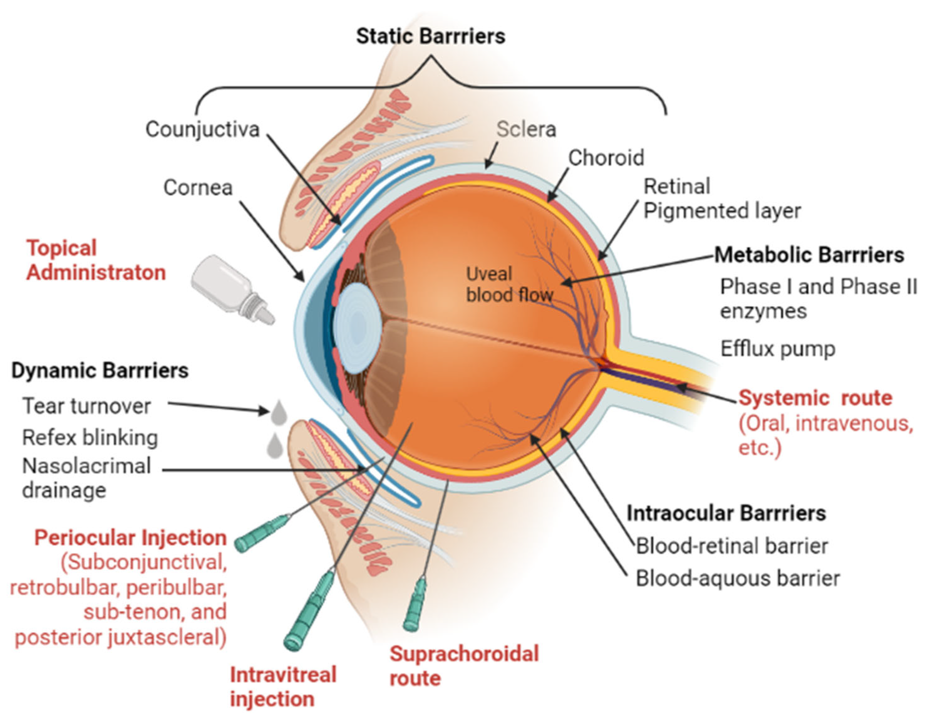 Pharmaceutics 15 00837 g003 Pharmaceutics 15 00837 g003