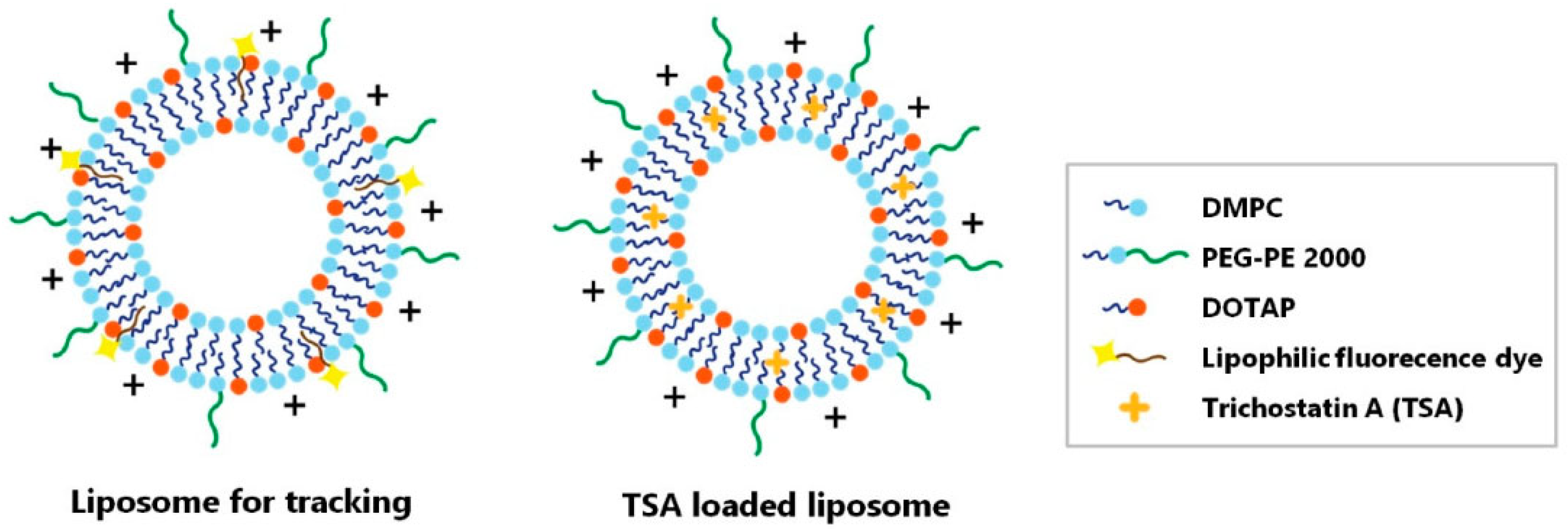 Pharmaceutics 15 00837 g005 Pharmaceutics 15 00837 g005