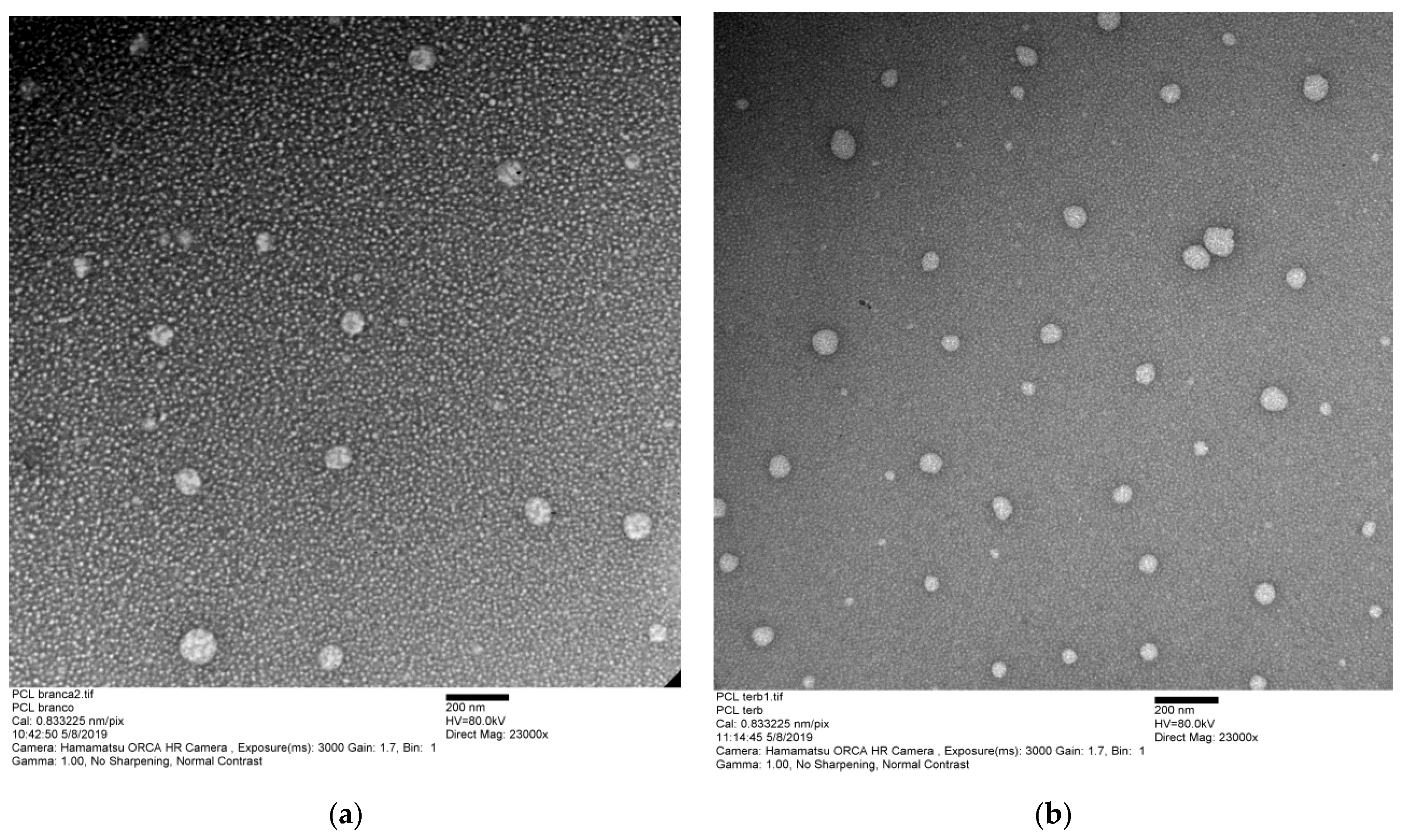 Pharmaceutics 15 00841 g002 Pharmaceutics 15 00841 g002