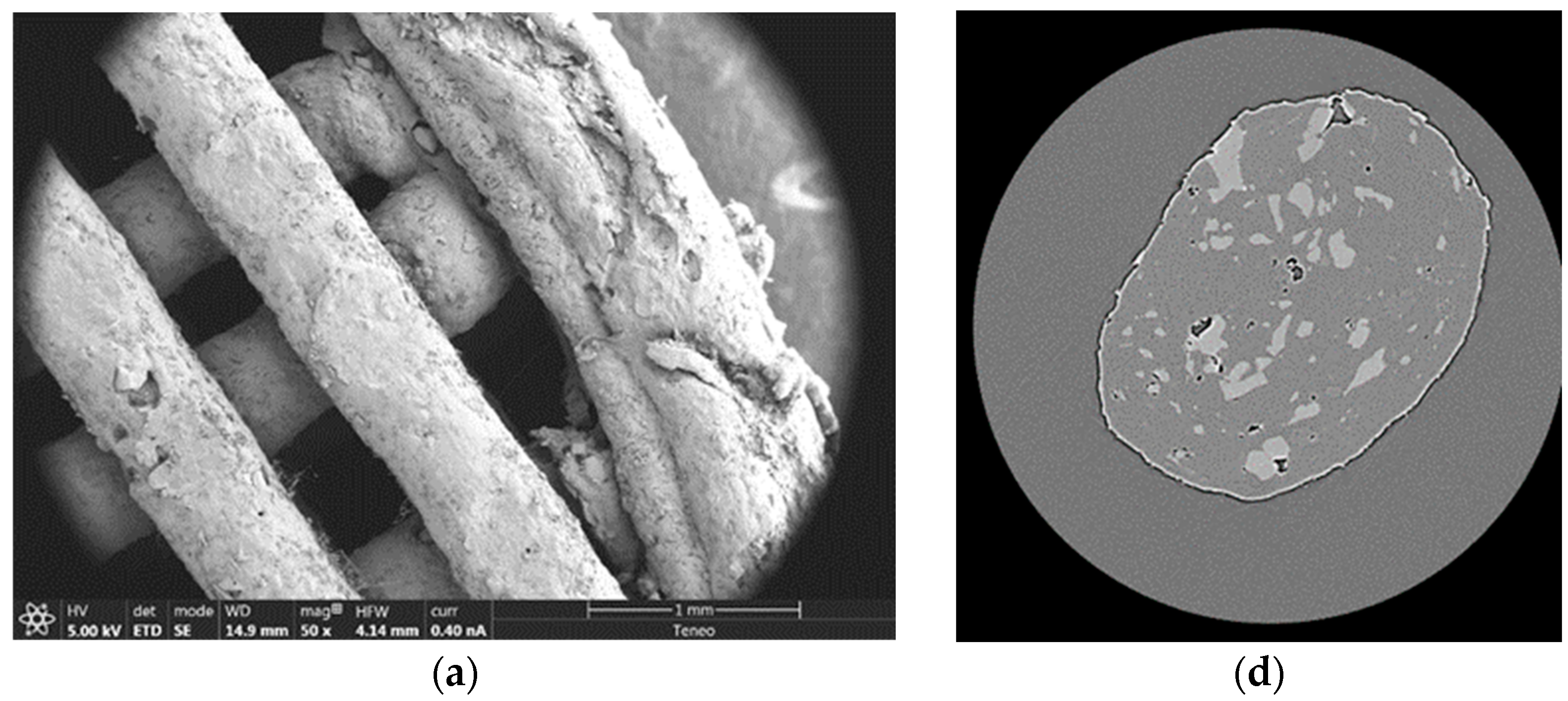 Pharmaceutics 15 00842 g006a