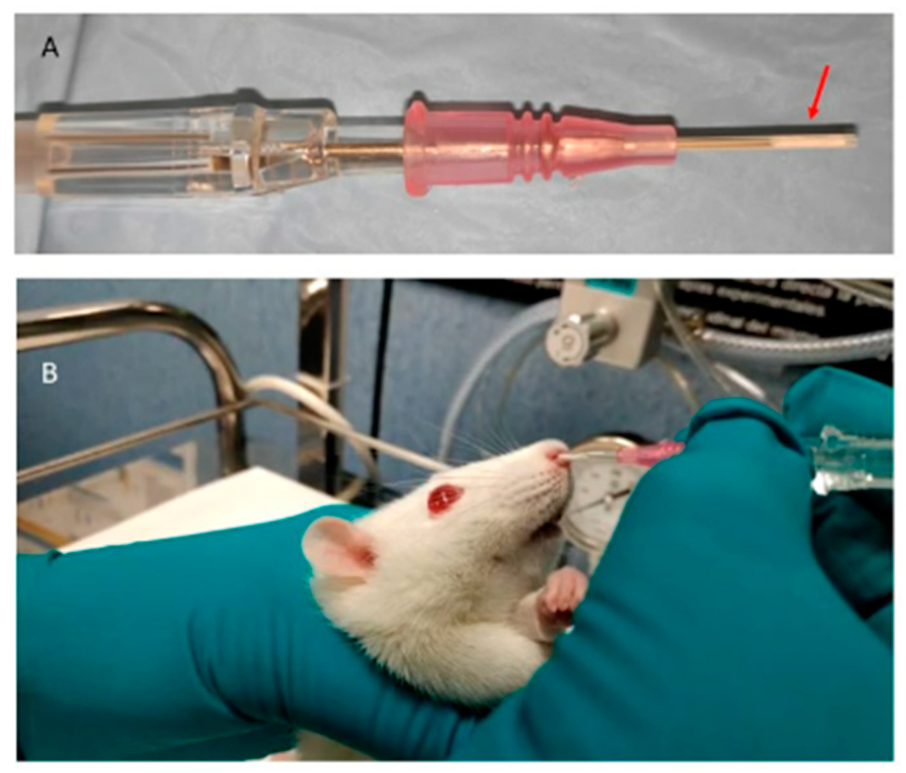 Pharmaceutics 15 00843 g003 Pharmaceutics 15 00843 g003