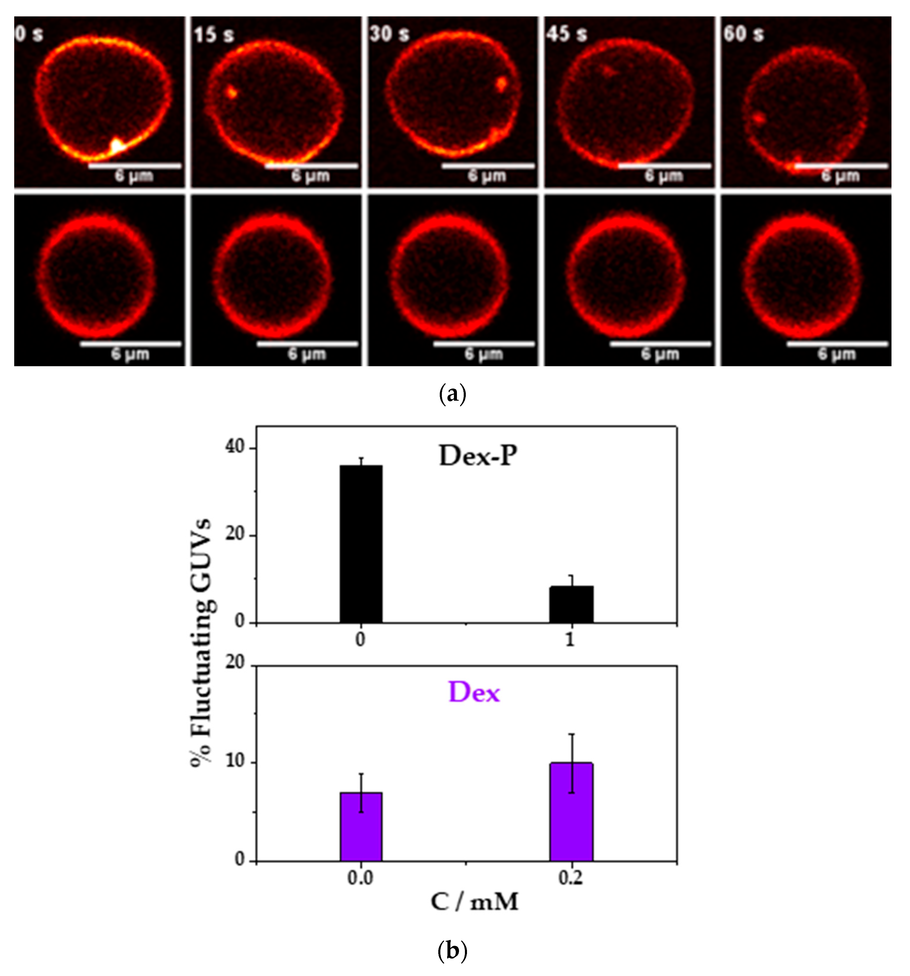 Pharmaceutics 15 00844 g007