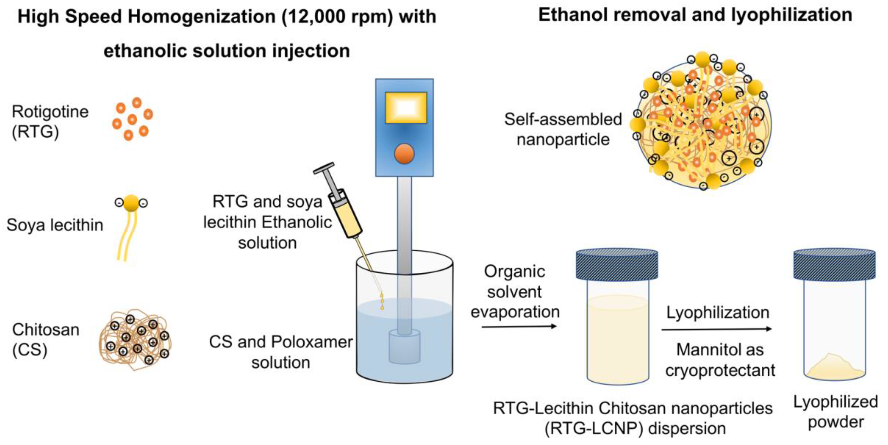 Pharmaceutics Free FullText SelfAssembled LecithinChitosan