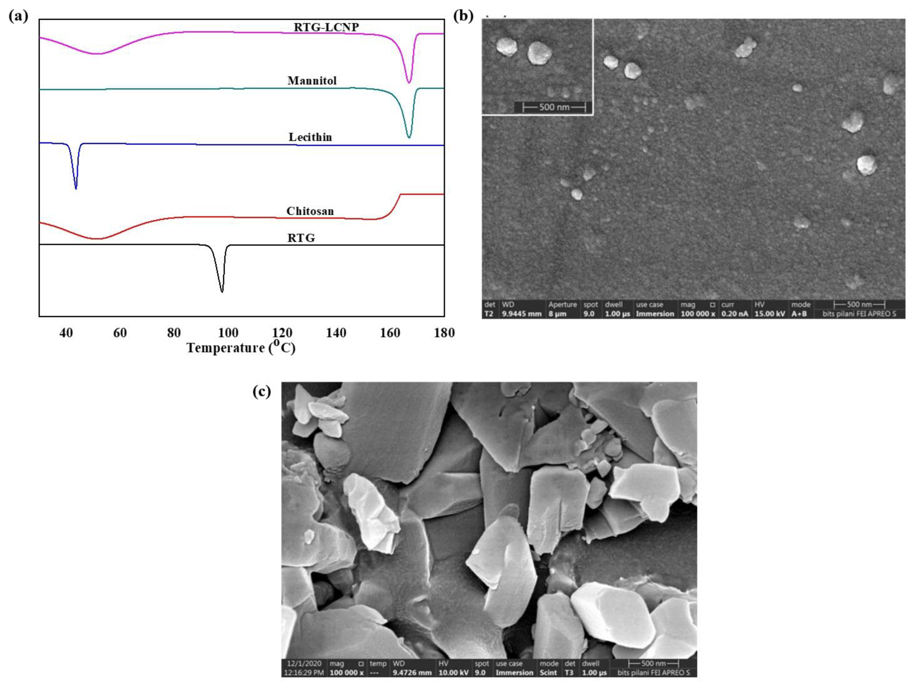 Pharmaceutics 15 00851 g003 Pharmaceutics 15 00851 g003