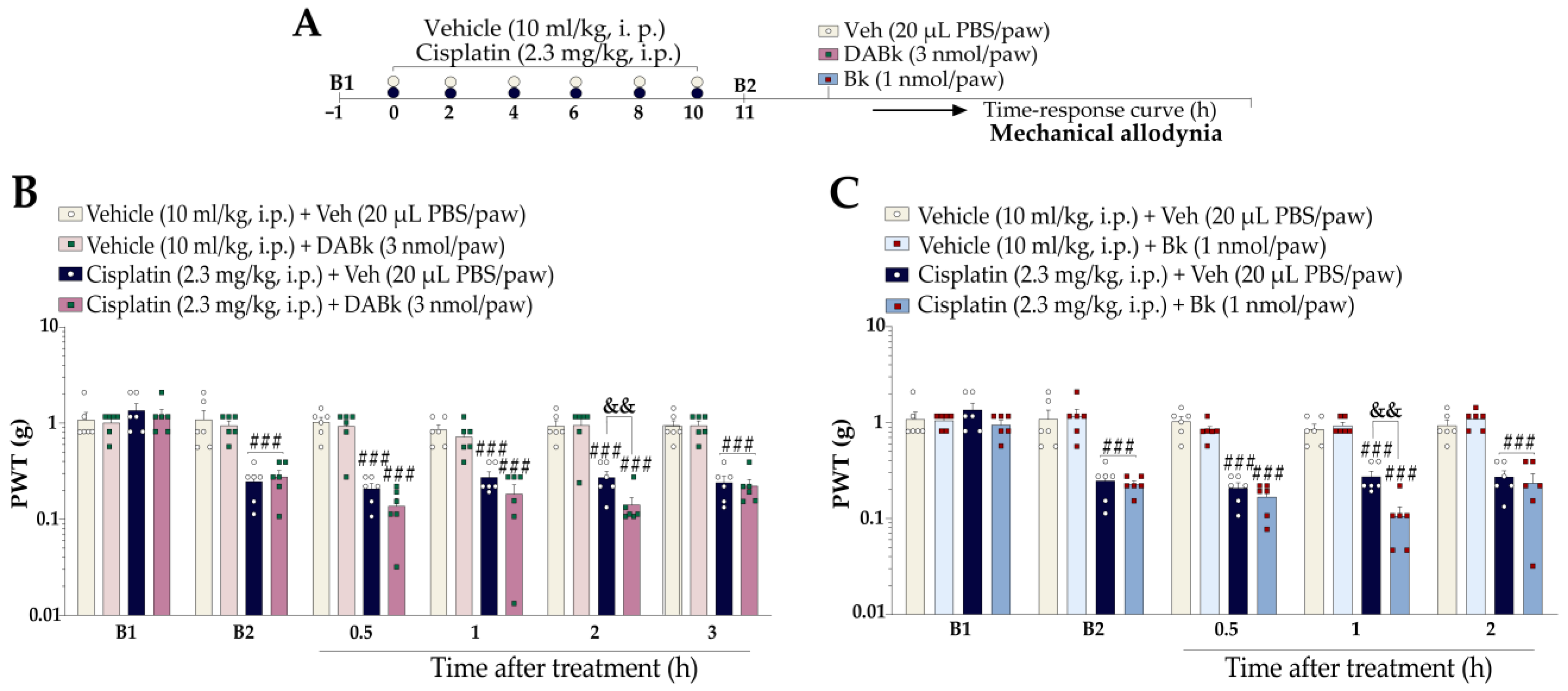 Pharmaceutics 15 00852 g005 Pharmaceutics 15 00852 g005