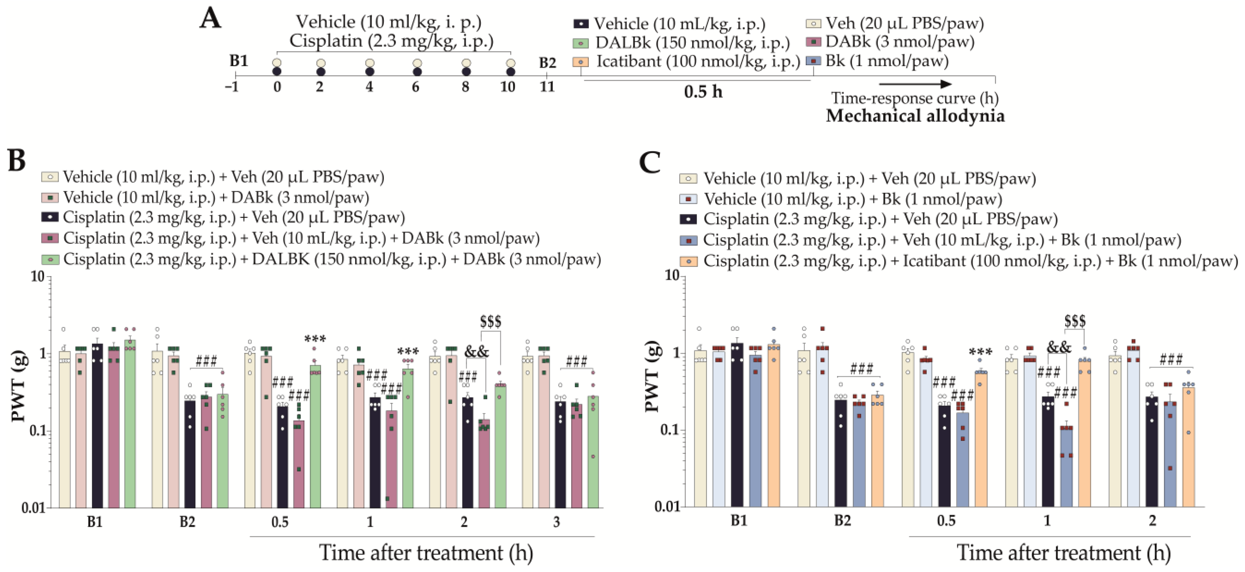 Pharmaceutics 15 00852 g006 Pharmaceutics 15 00852 g006