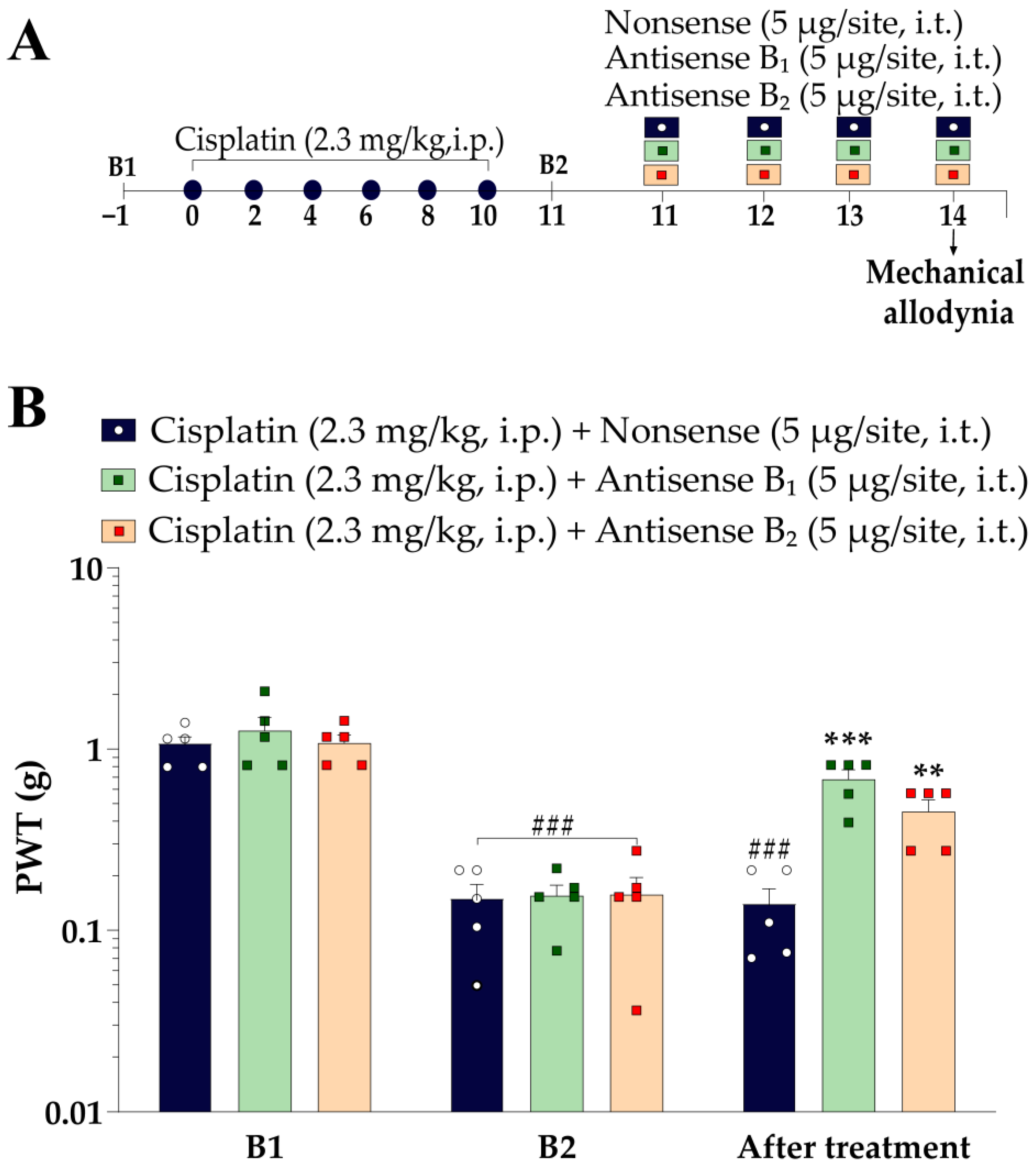 Pharmaceutics 15 00852 g007 Pharmaceutics 15 00852 g007