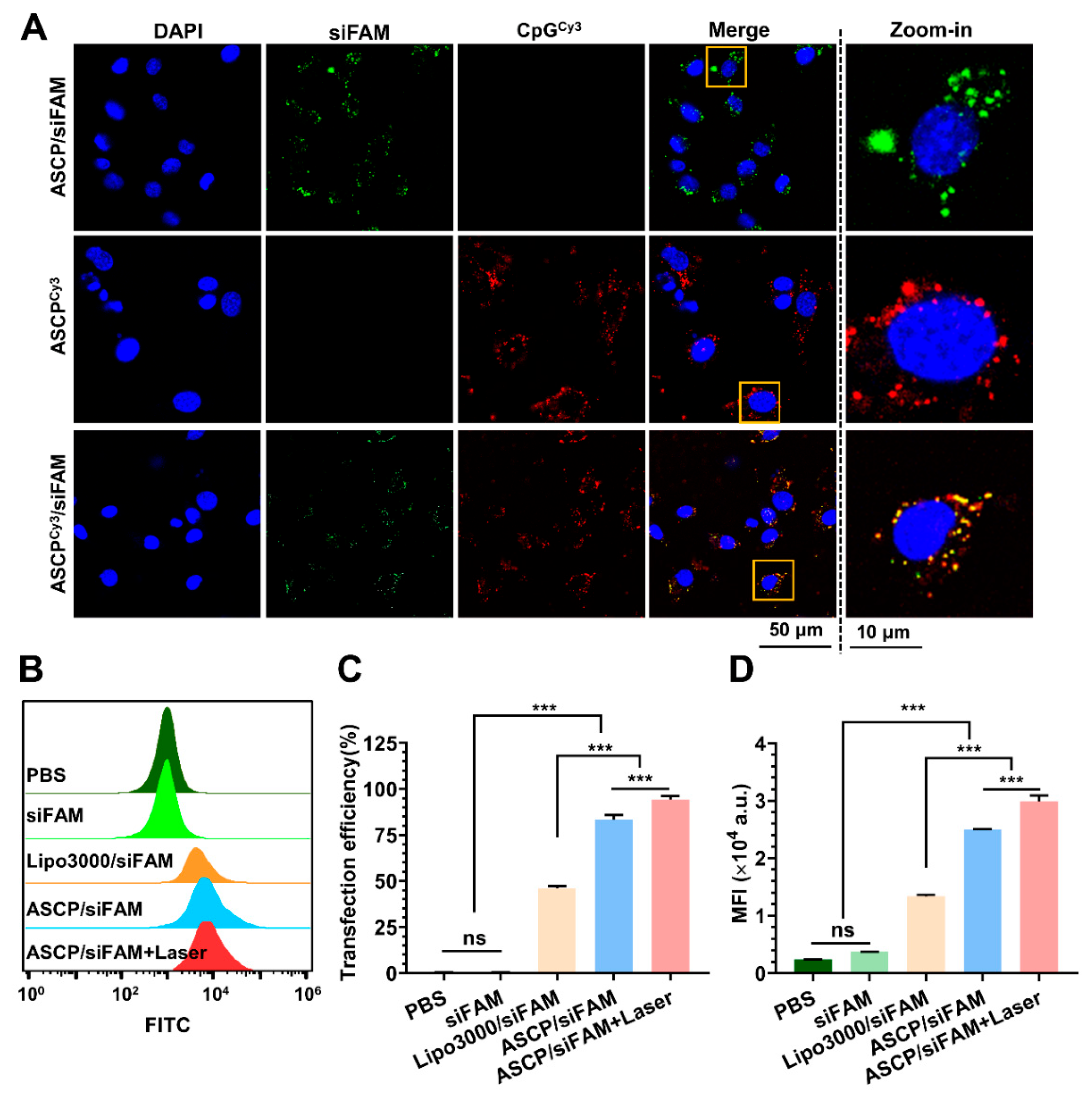 Pharmaceutics 15 00854 g003 Pharmaceutics 15 00854 g003