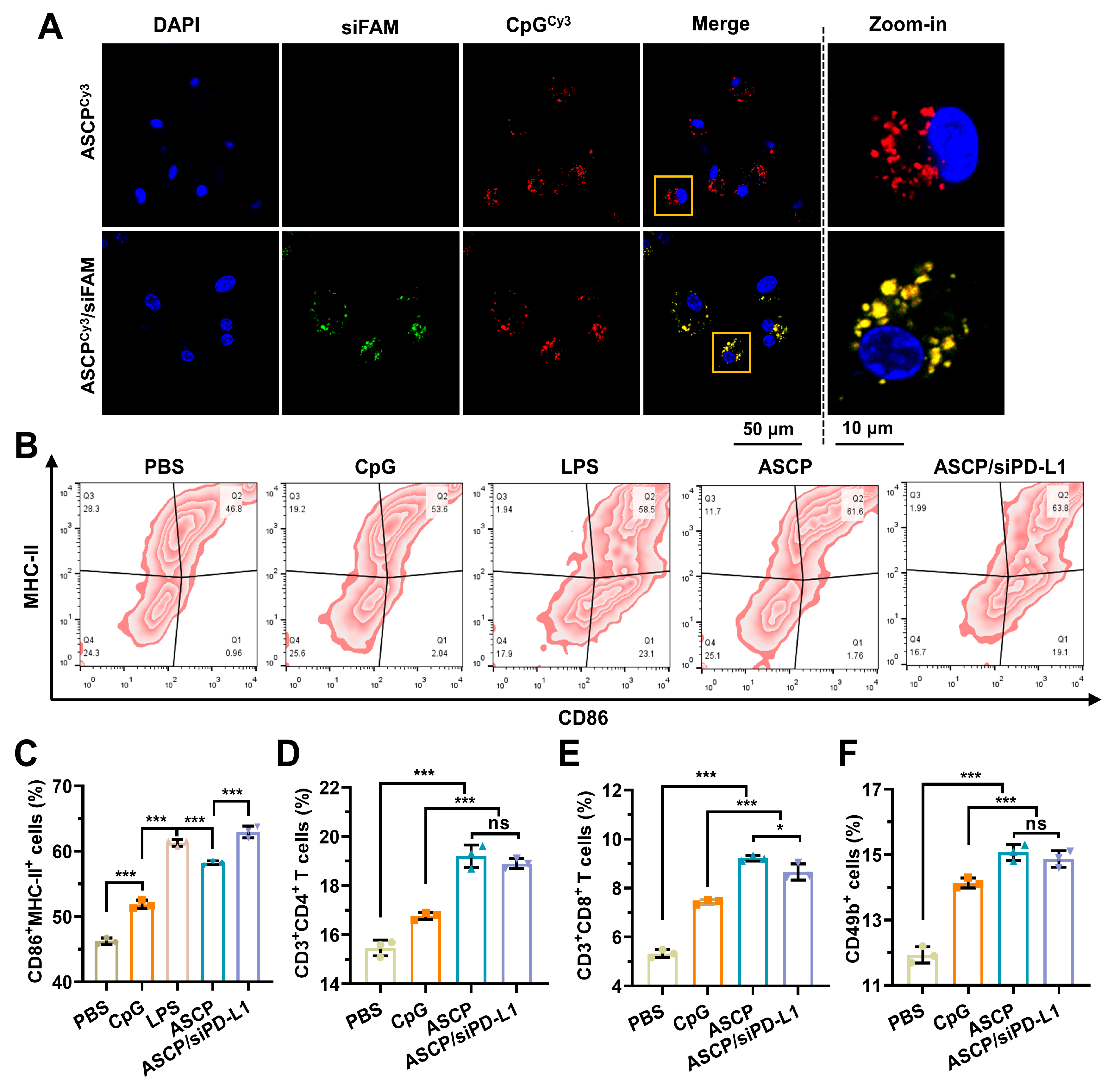 Pharmaceutics 15 00854 g005 Pharmaceutics 15 00854 g005