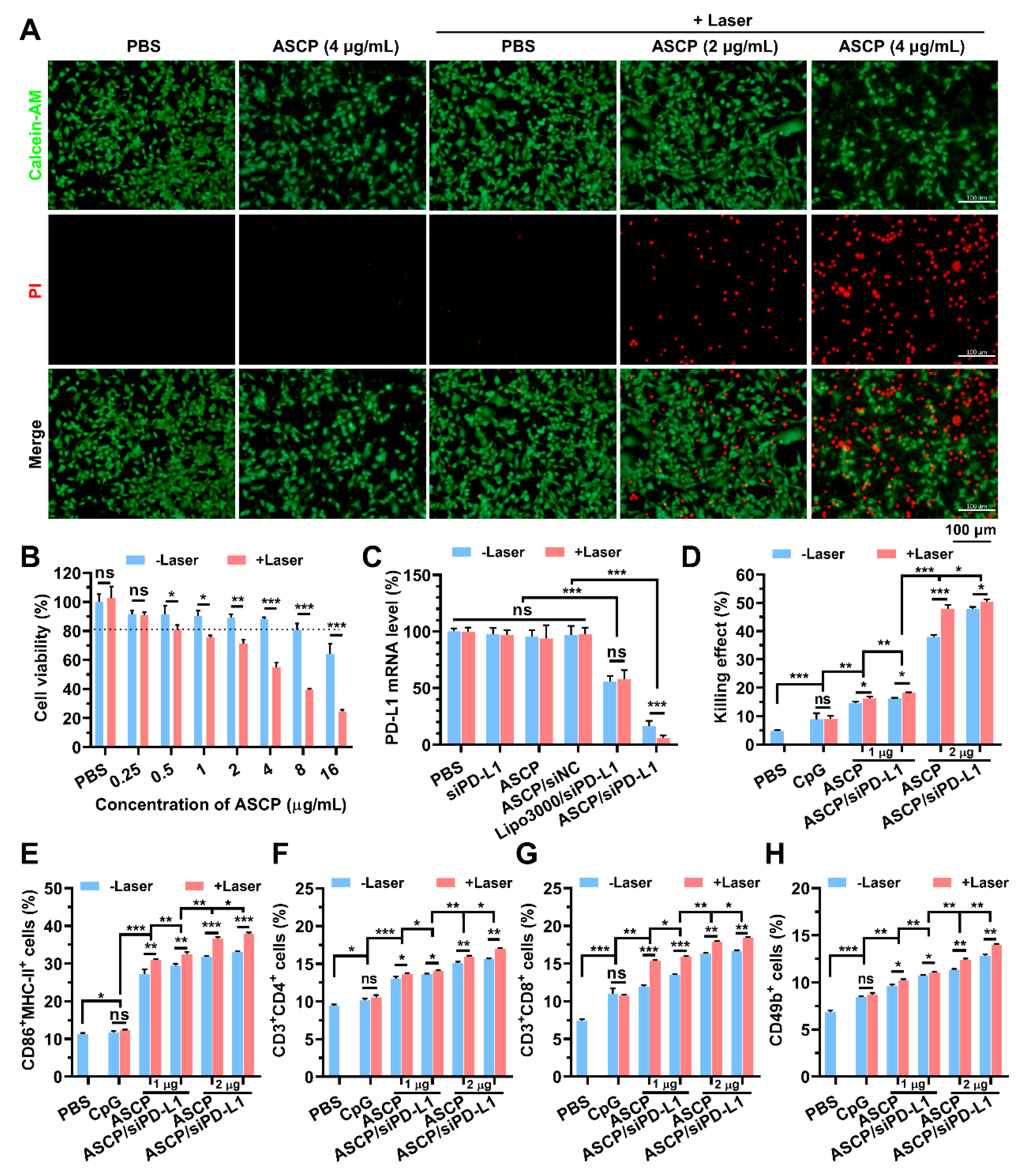 Pharmaceutics 15 00854 g006 Pharmaceutics 15 00854 g006