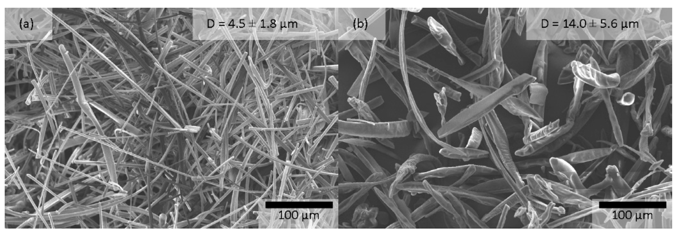 Pharmaceutics 15 00855 g003