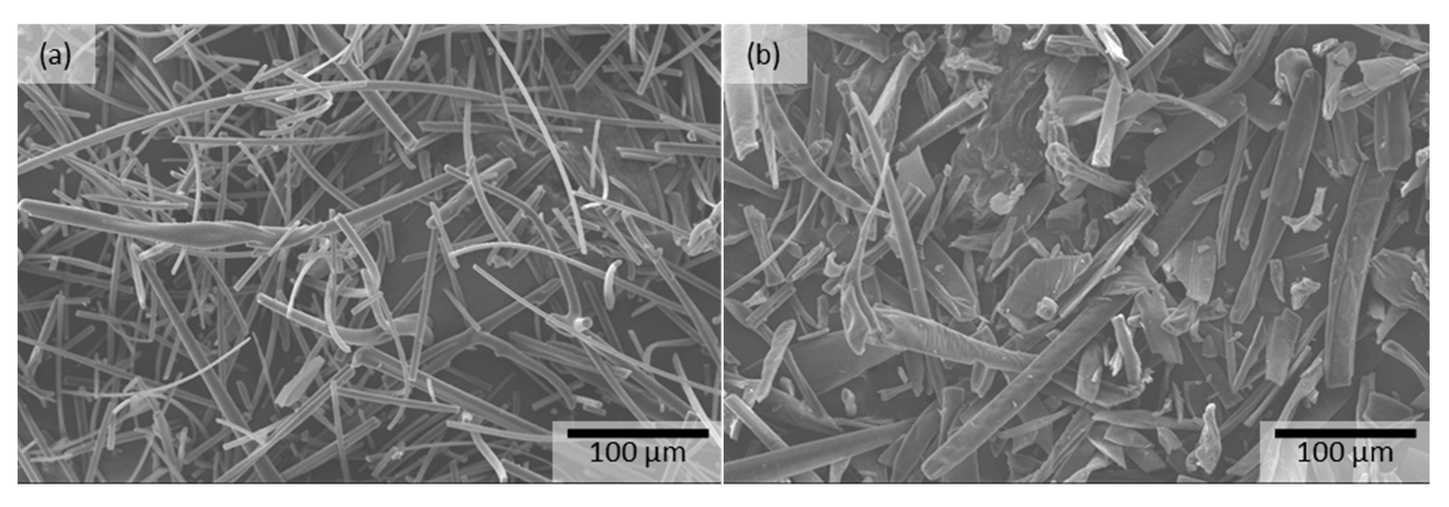Pharmaceutics 15 00855 g006