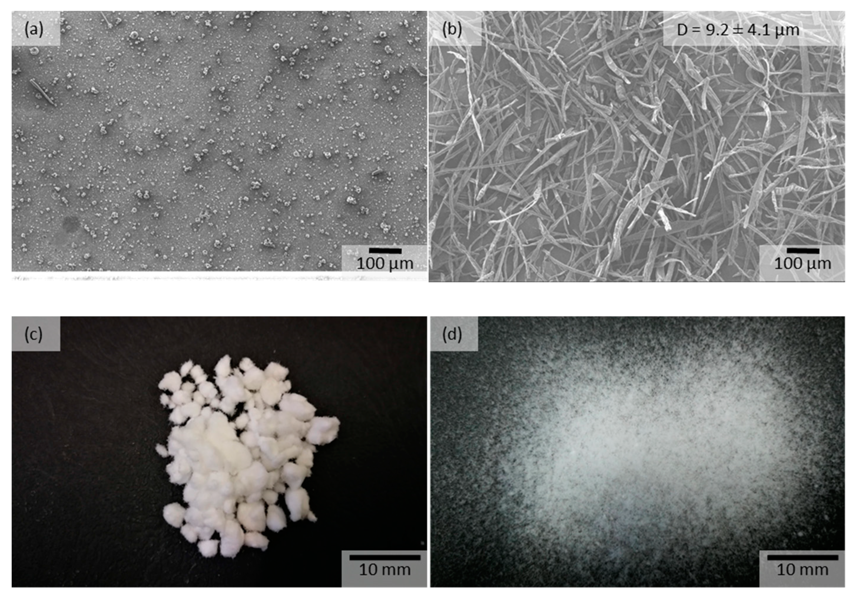 Pharmaceutics 15 00855 g008