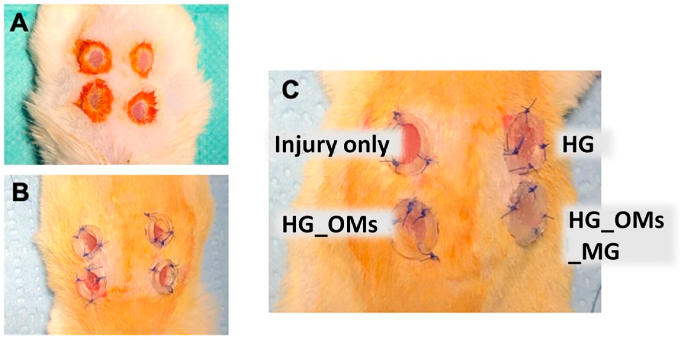 Pharmaceutics 15 00857 g001