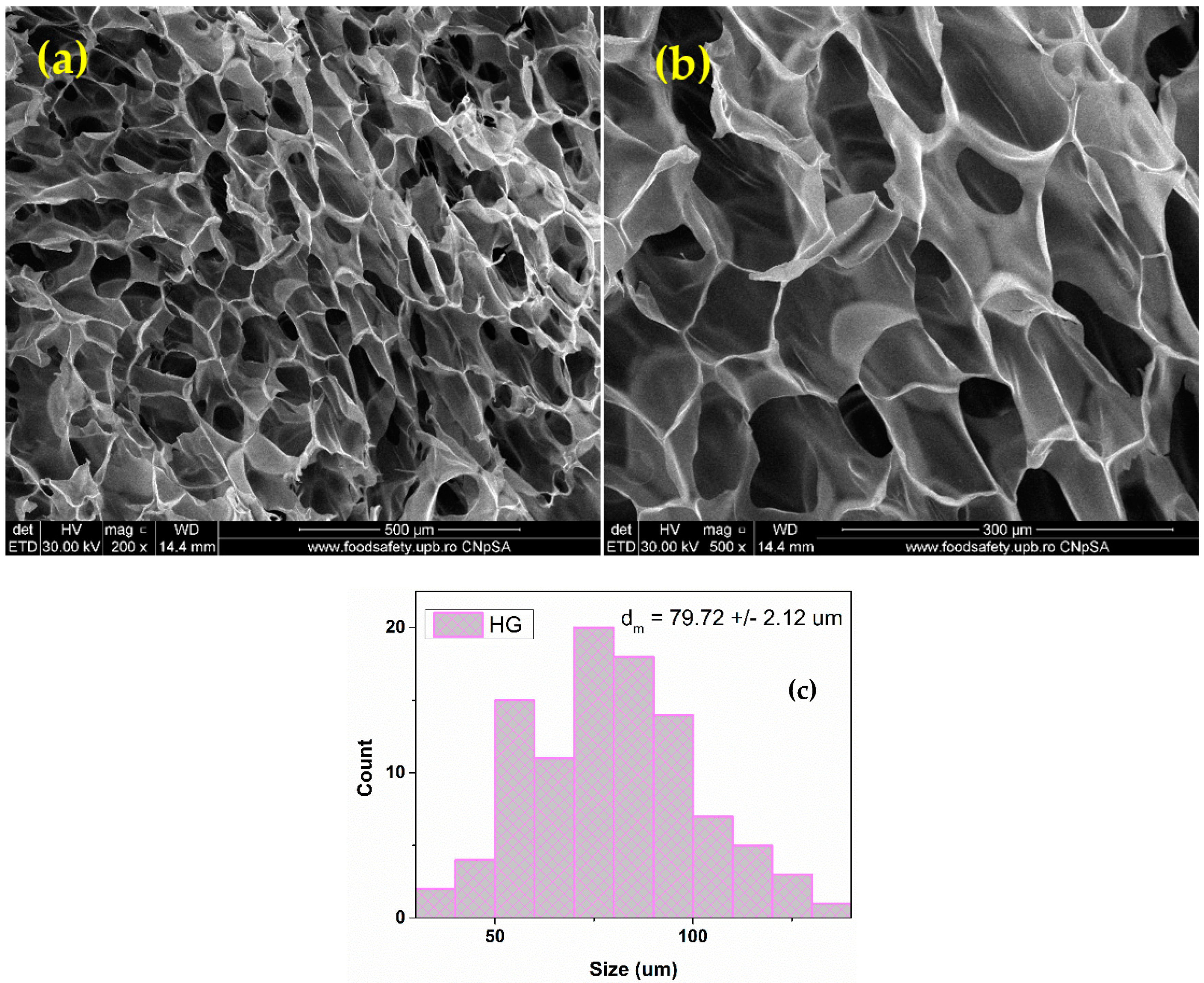 Pharmaceutics 15 00857 g004