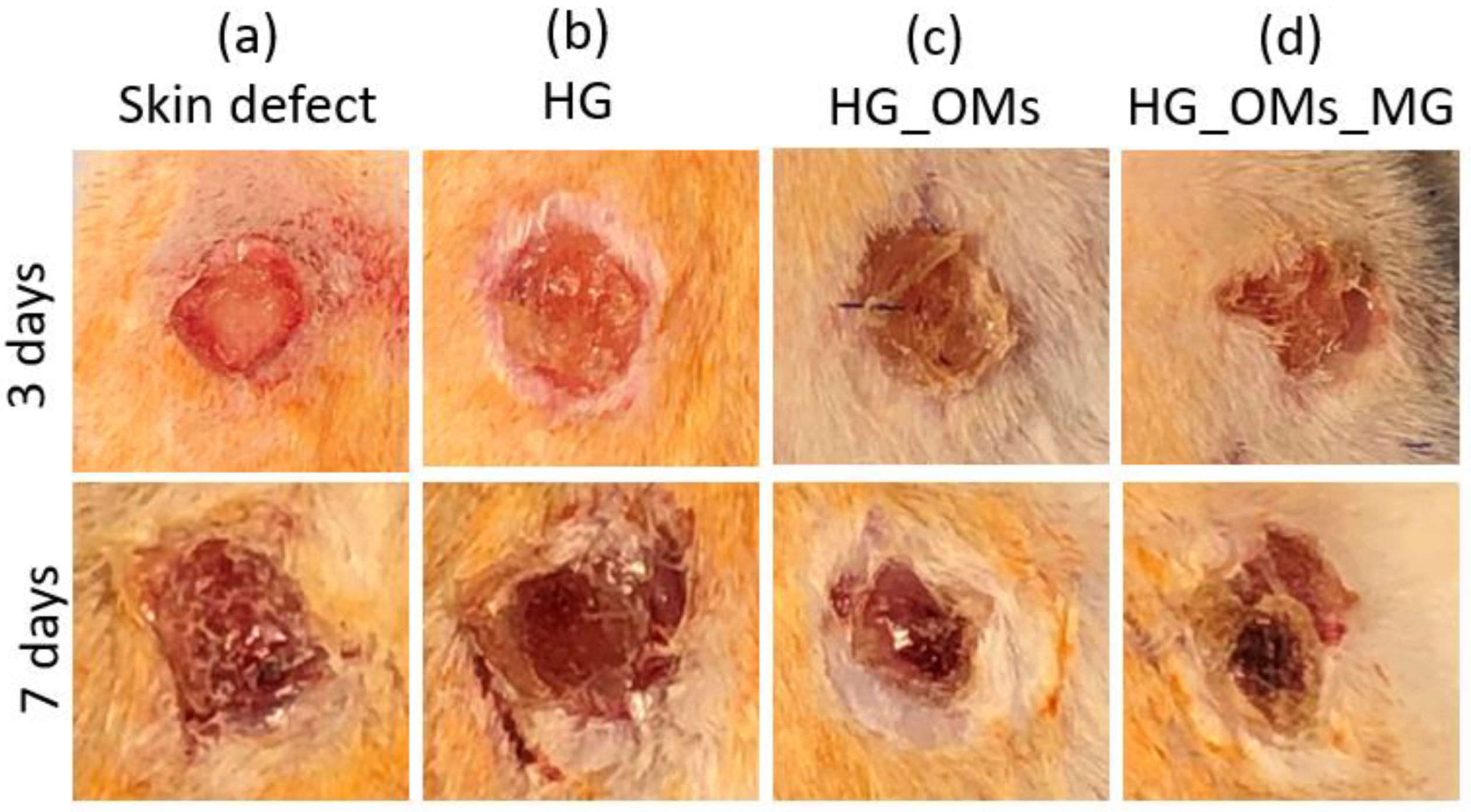 Pharmaceutics 15 00857 g007