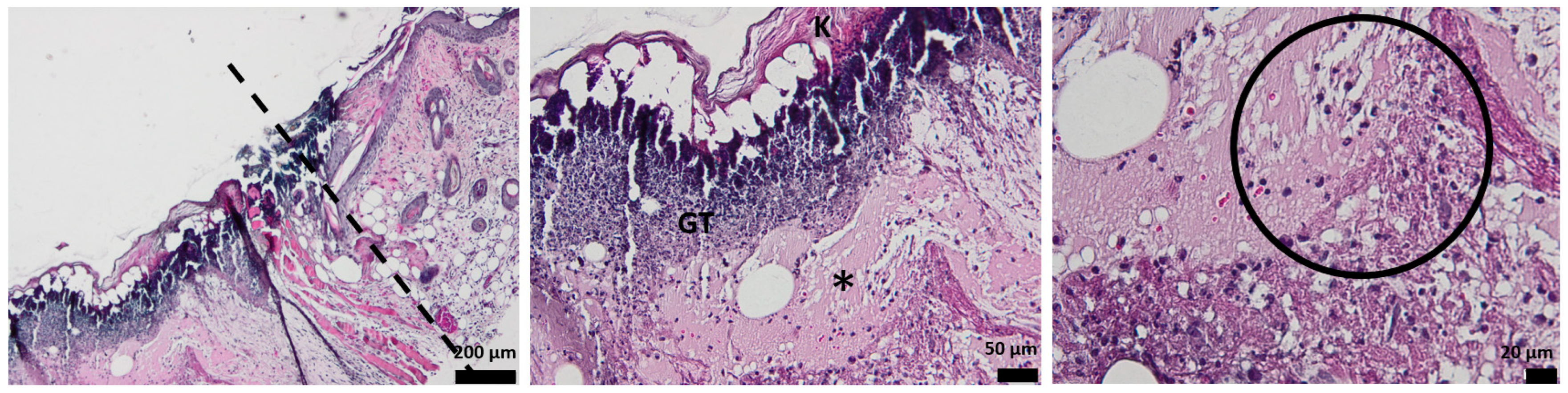 Pharmaceutics 15 00857 g008