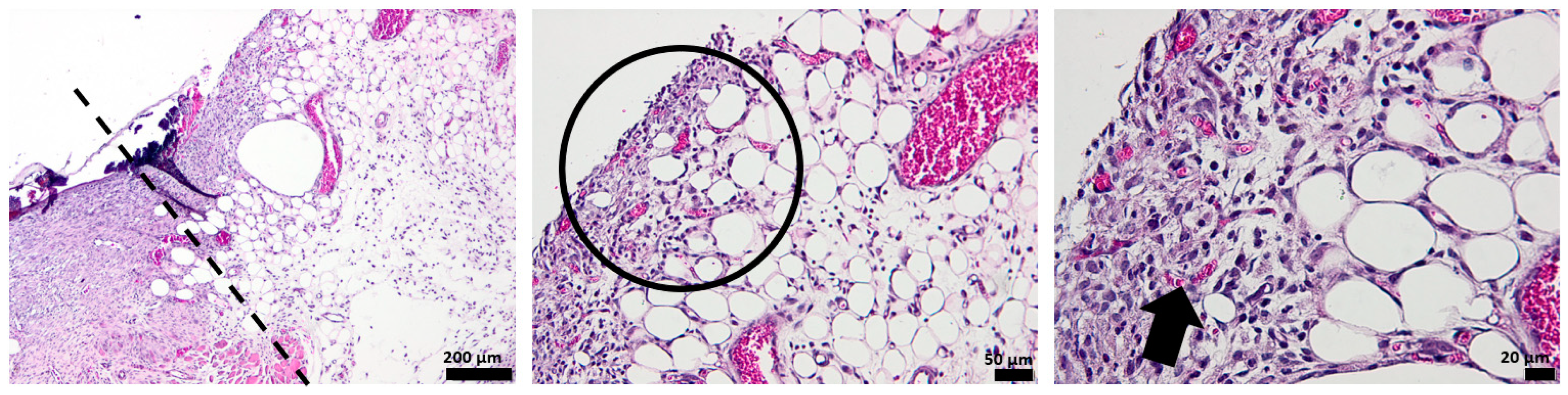 Pharmaceutics 15 00857 g012