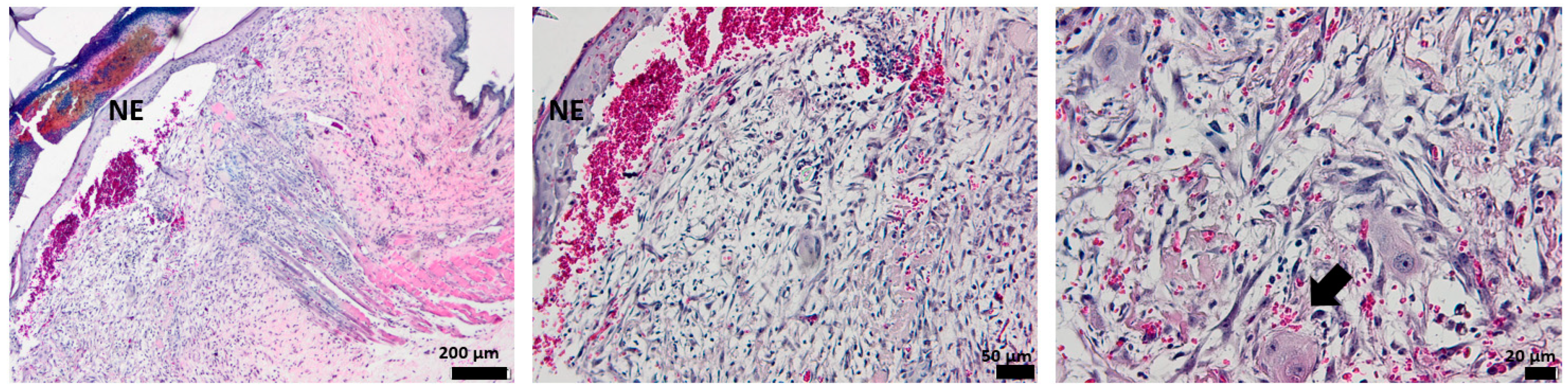 Pharmaceutics 15 00857 g013