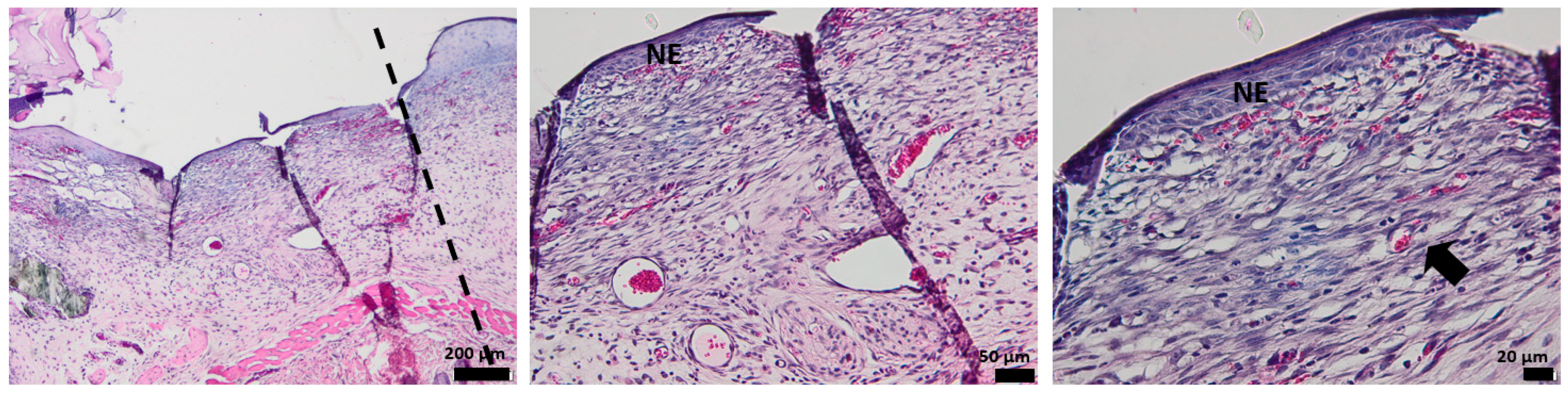 Pharmaceutics 15 00857 g014