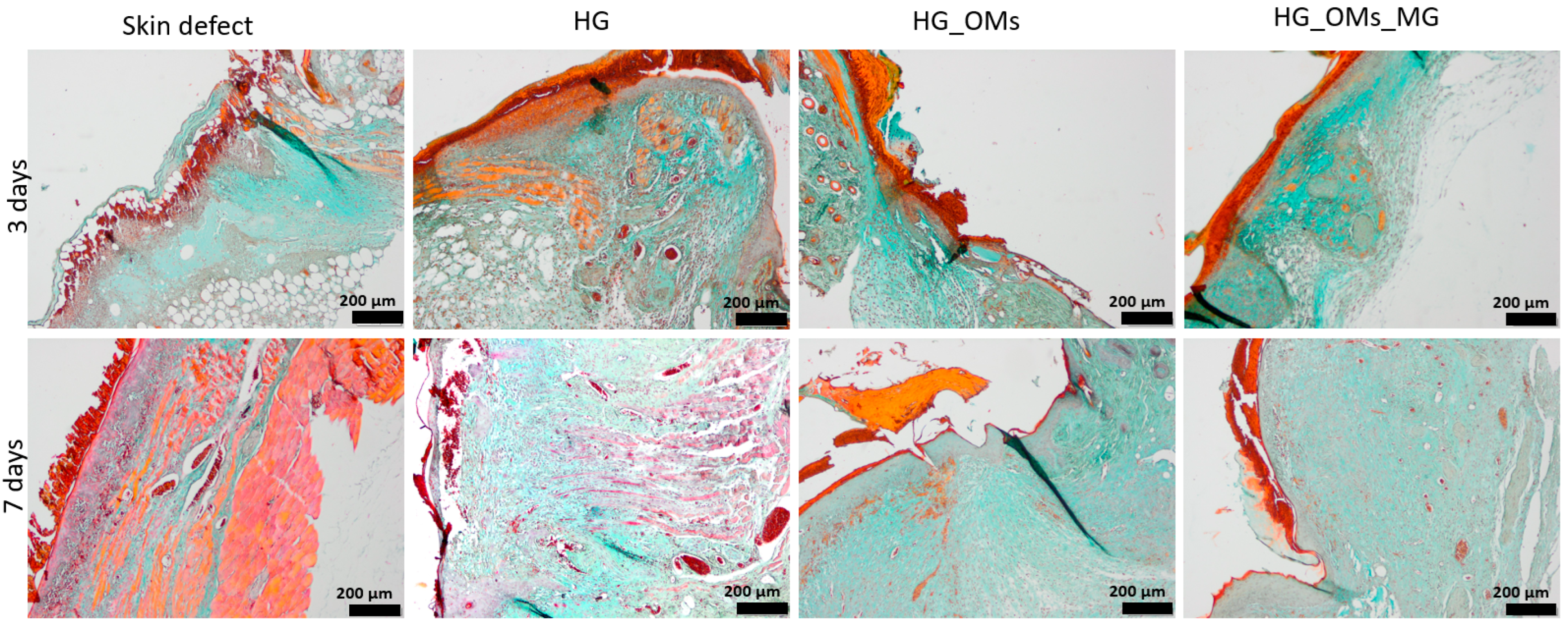 Pharmaceutics 15 00857 g016
