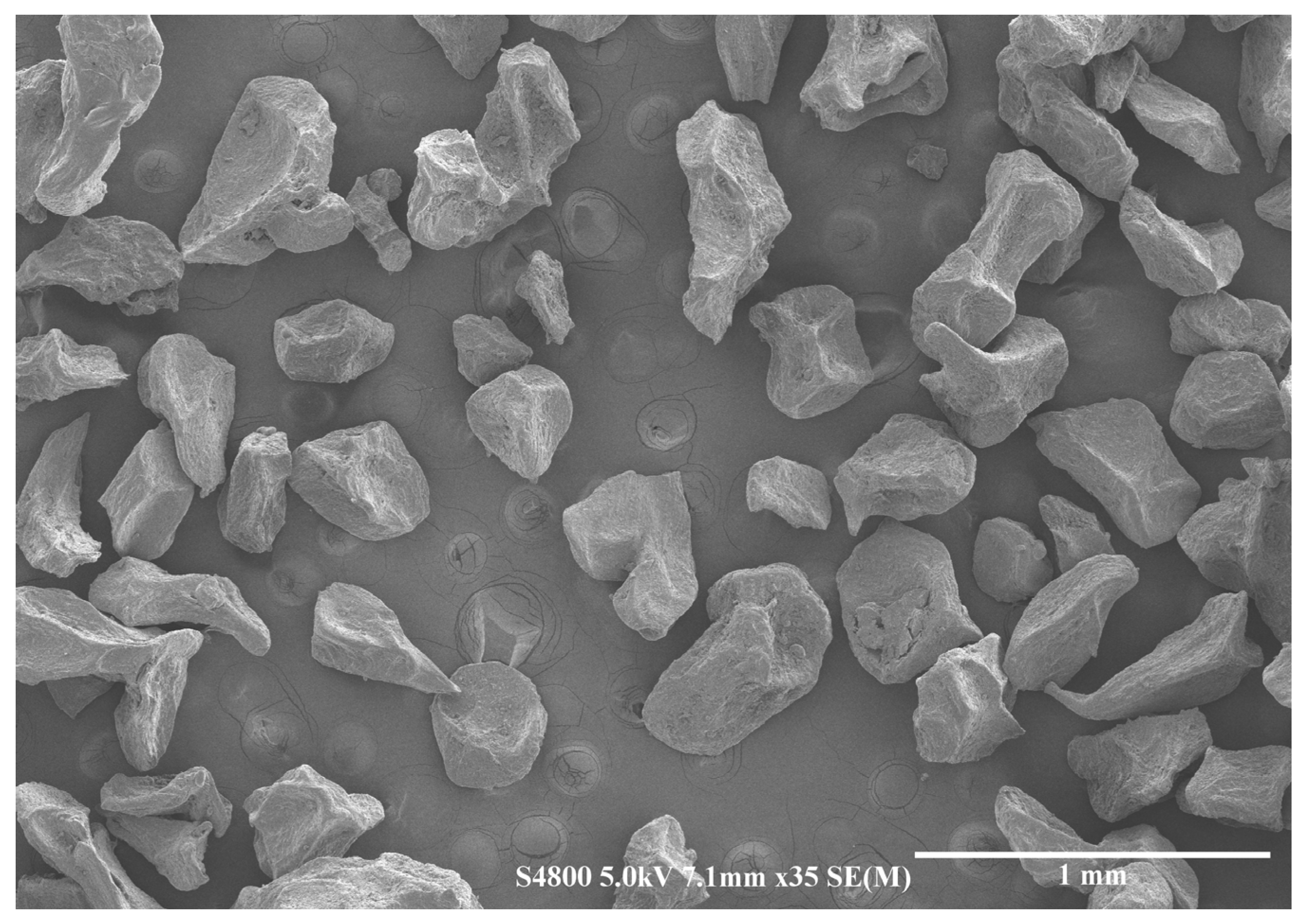 Pharmaceutics 15 00859 g001