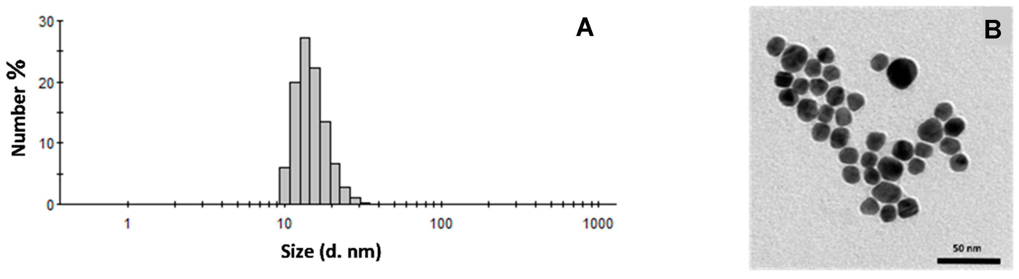 Pharmaceutics 15 00864 g001a Pharmaceutics 15 00864 g001a