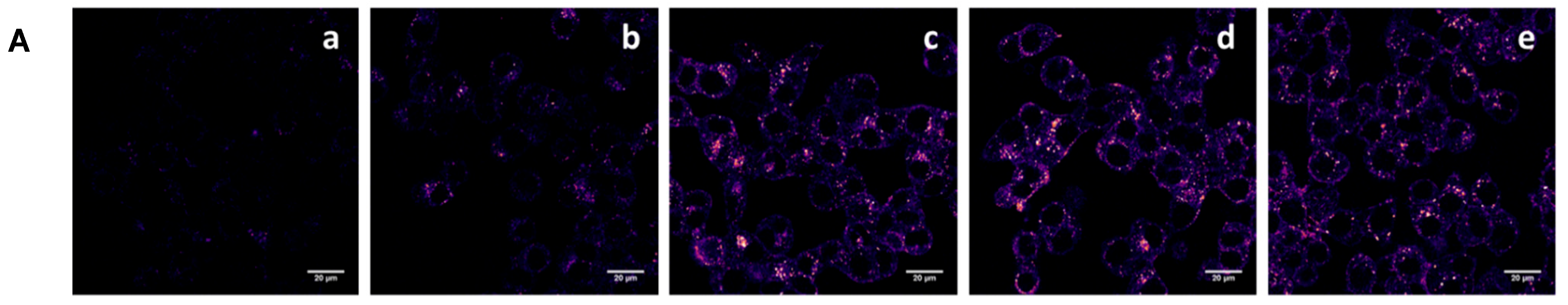 Pharmaceutics 15 00864 g004a Pharmaceutics 15 00864 g004a