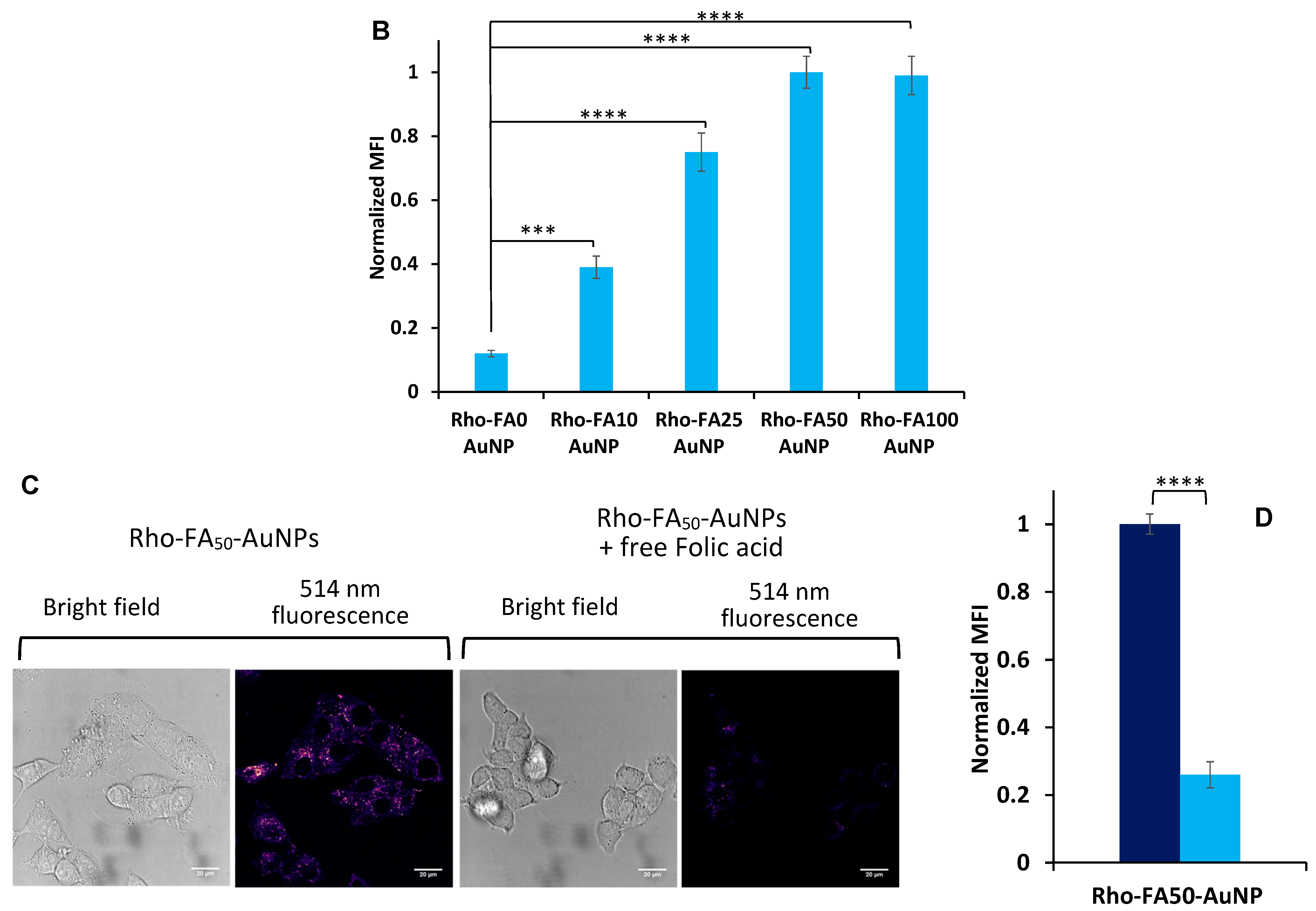 Pharmaceutics 15 00864 g004b Pharmaceutics 15 00864 g004b