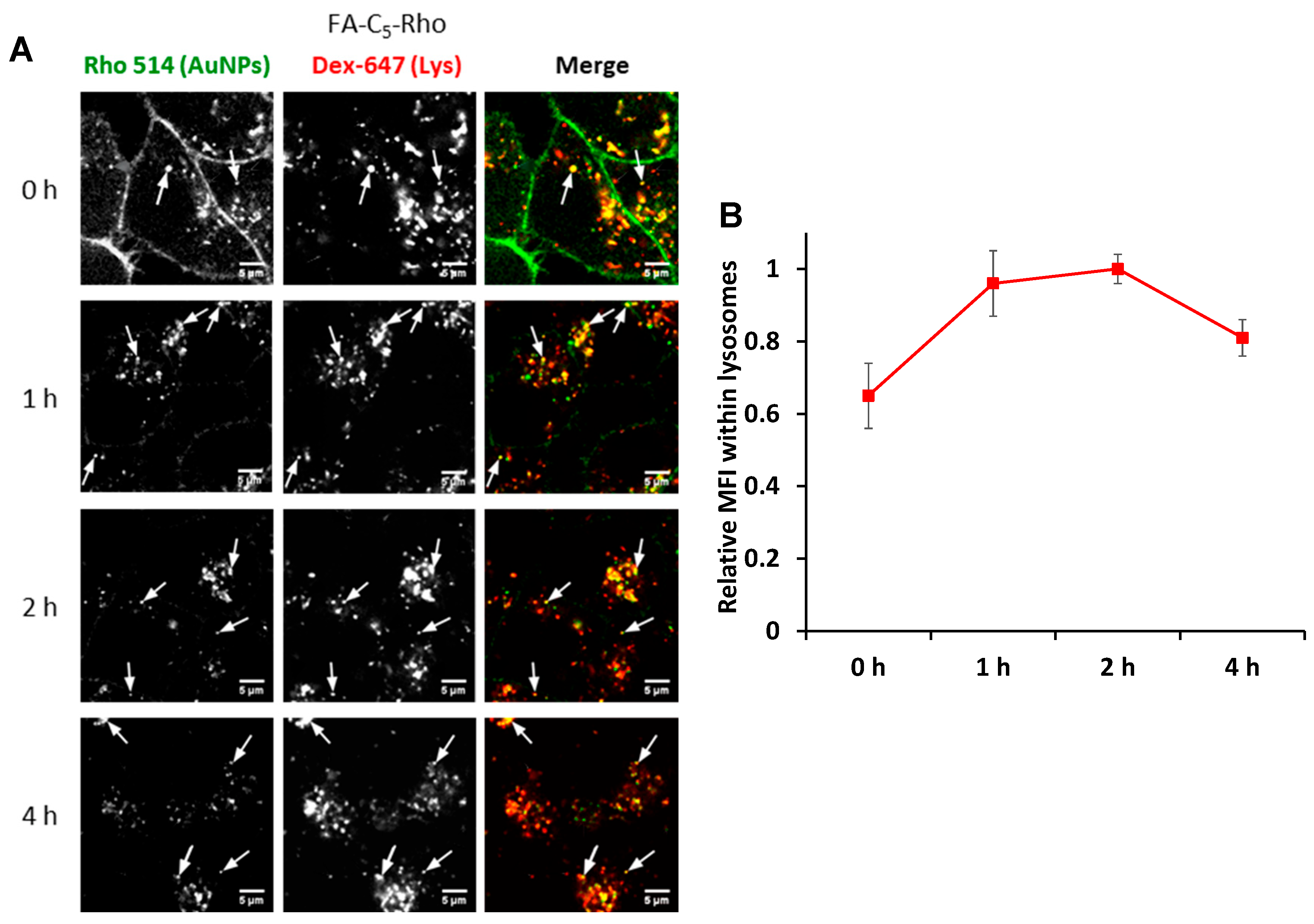Pharmaceutics 15 00864 g006 Pharmaceutics 15 00864 g006