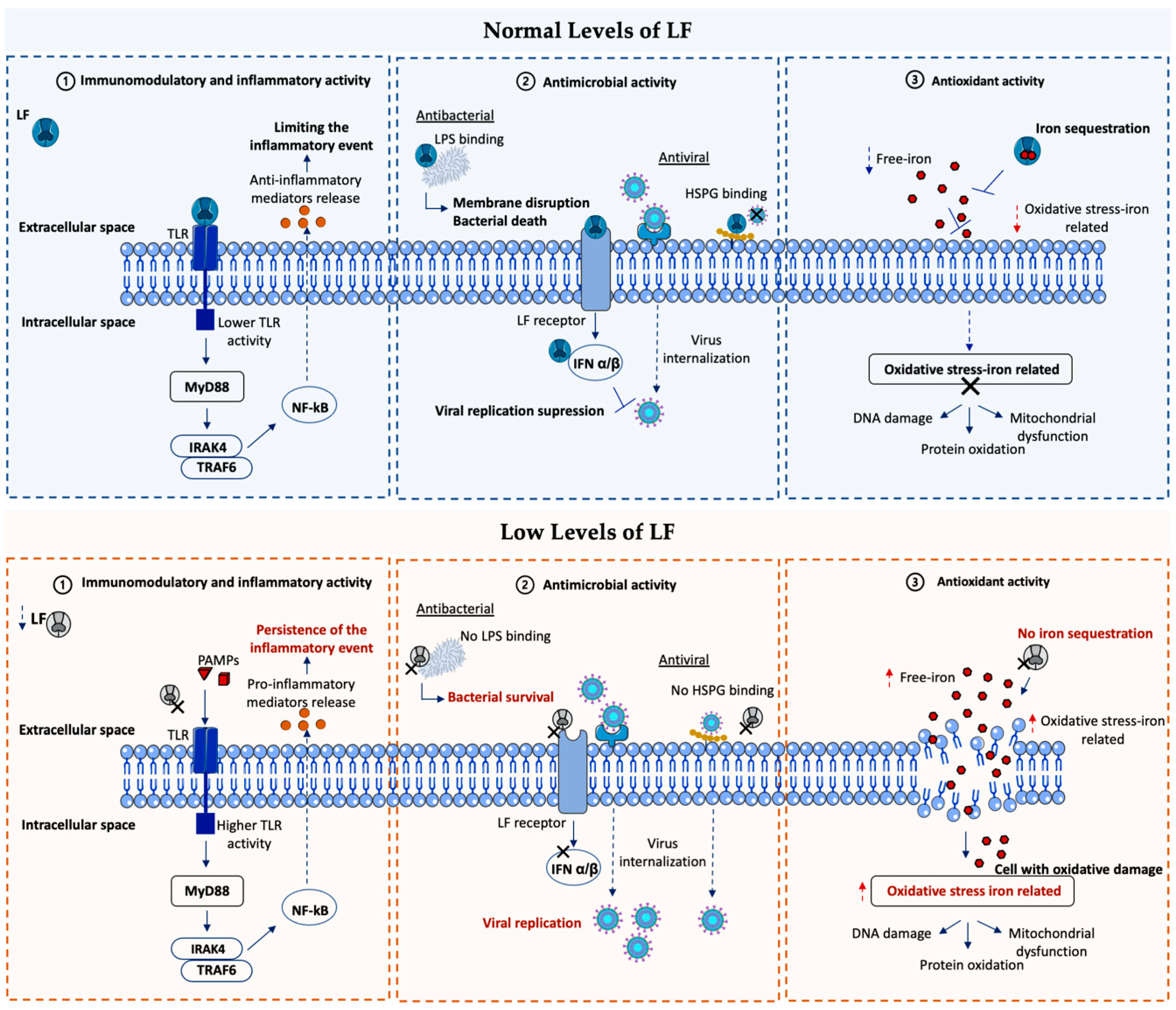 Pharmaceutics 15 00865 g004 Pharmaceutics 15 00865 g004