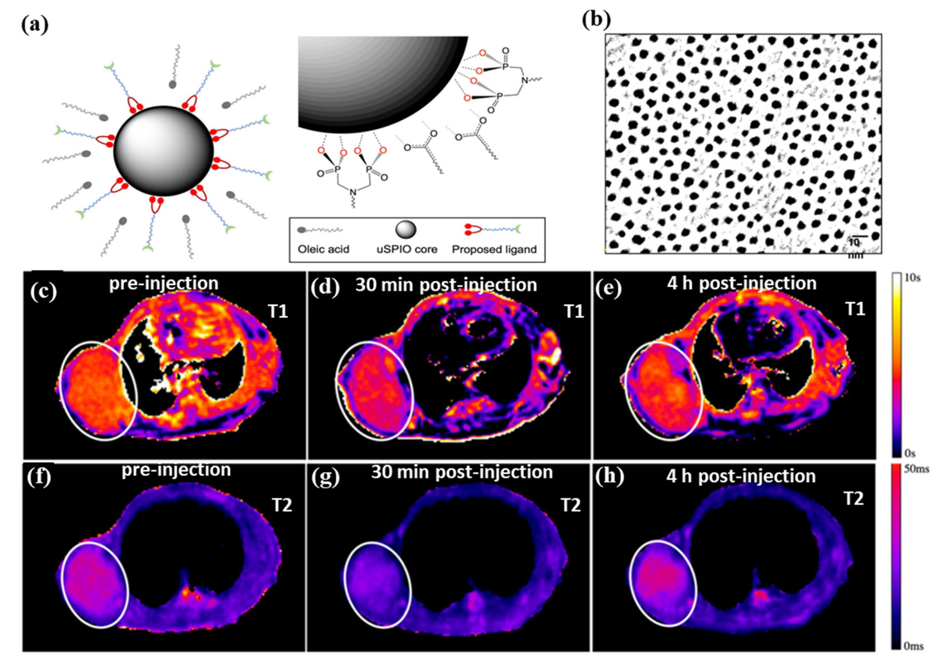 Pharmaceutics 15 00868 g004 Pharmaceutics 15 00868 g004