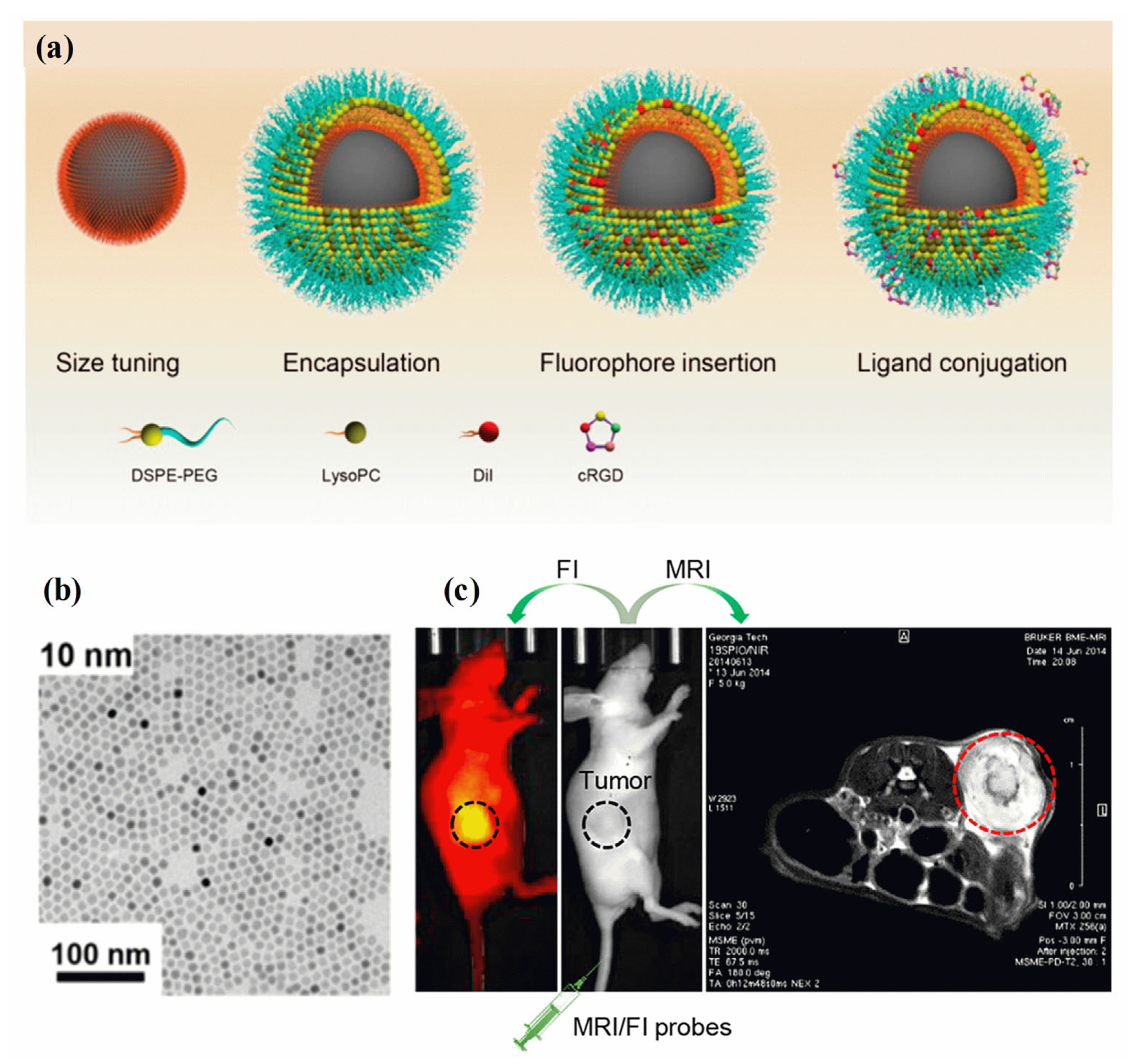Pharmaceutics 15 00868 g005 Pharmaceutics 15 00868 g005