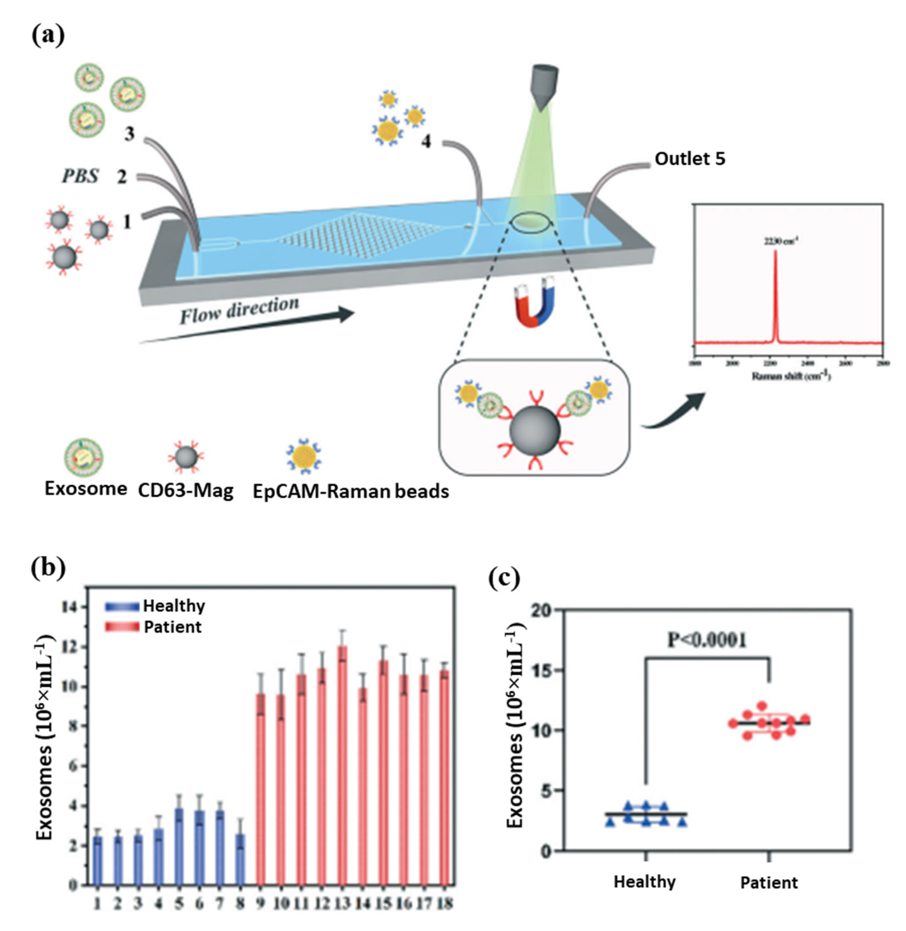 Pharmaceutics 15 00868 g006 Pharmaceutics 15 00868 g006