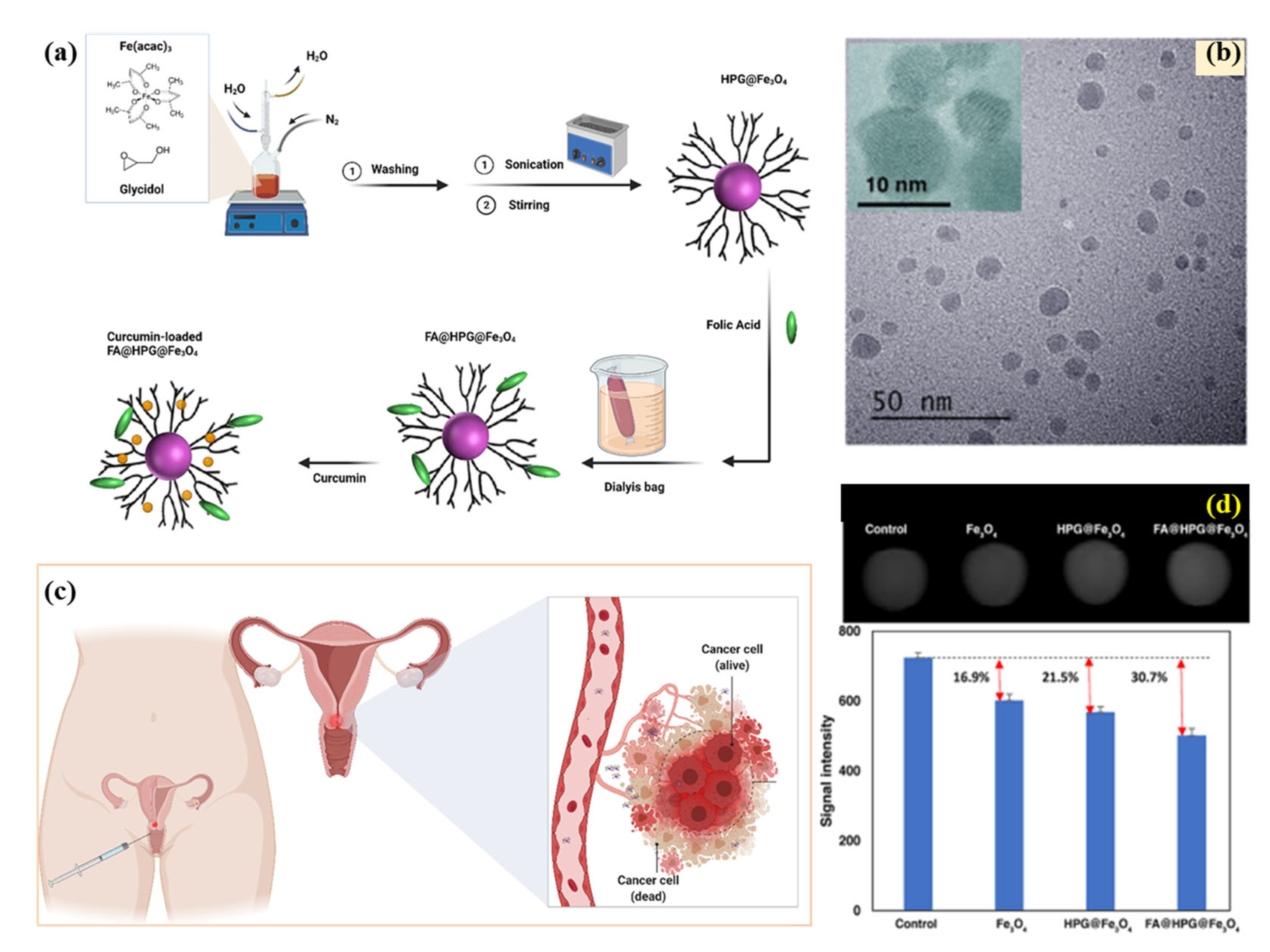 Pharmaceutics 15 00868 g008 Pharmaceutics 15 00868 g008
