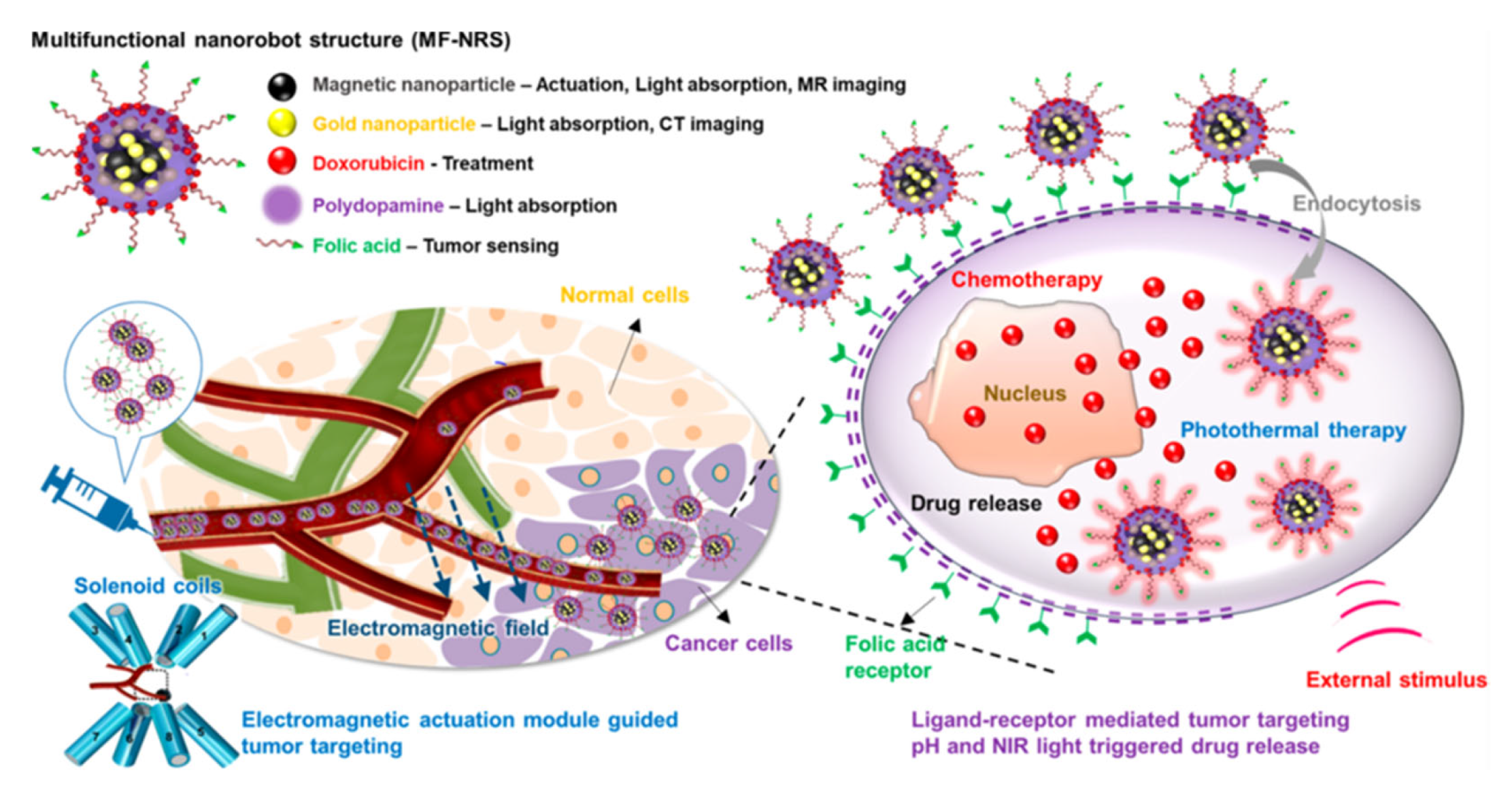 Pharmaceutics 15 00868 g012 Pharmaceutics 15 00868 g012