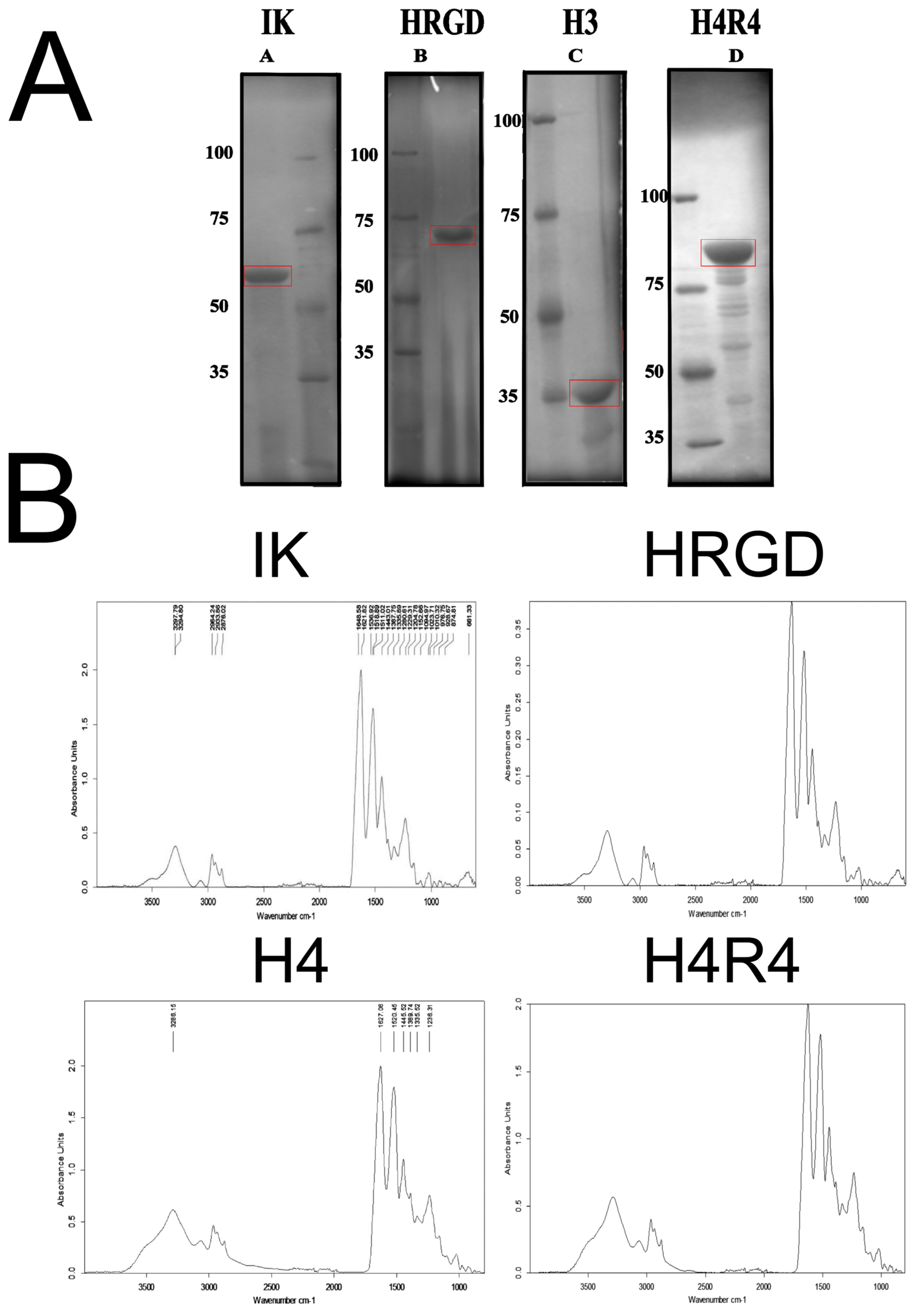 Pharmaceutics Free FullText Functionalization of 3DPrinted