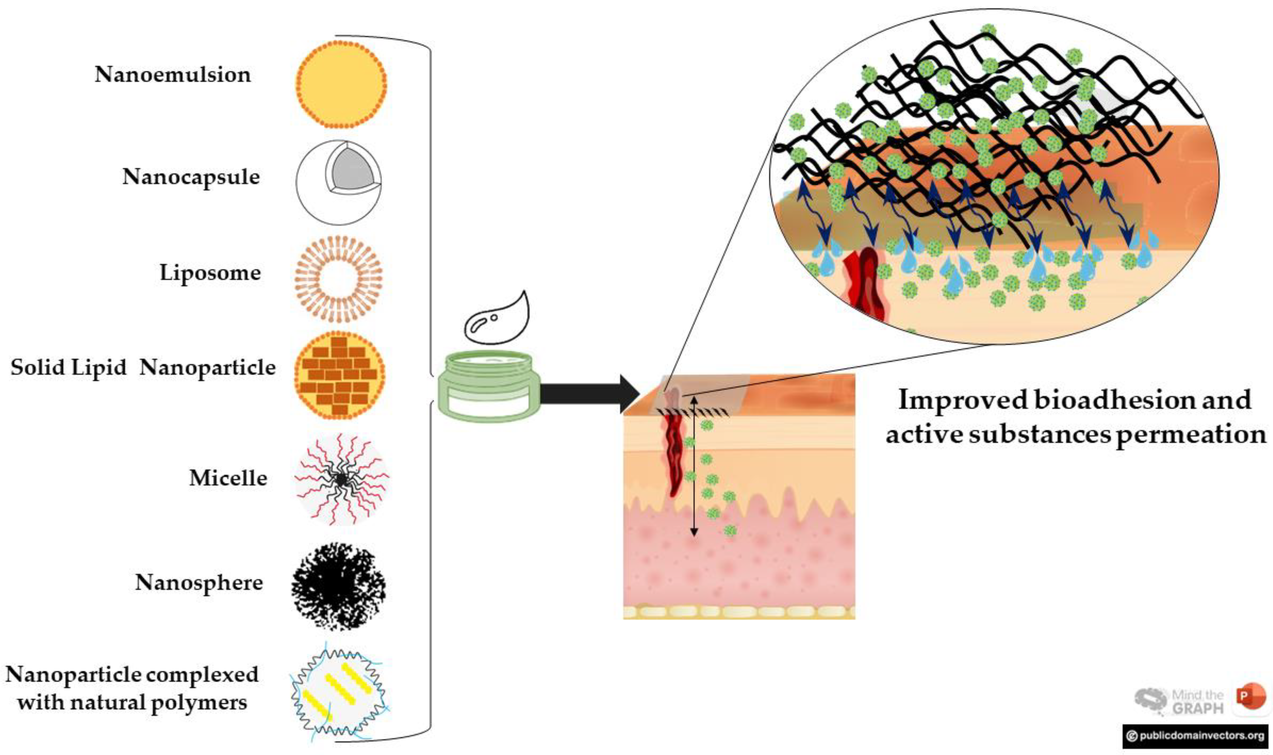 Pharmaceutics 15 00874 g002 Pharmaceutics 15 00874 g002