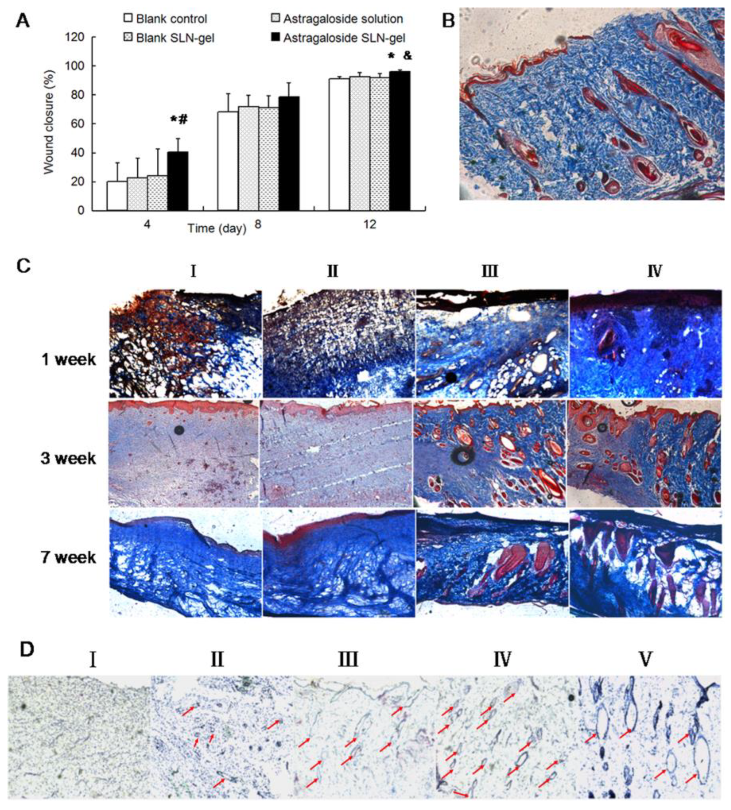 Pharmaceutics 15 00874 g004 Pharmaceutics 15 00874 g004