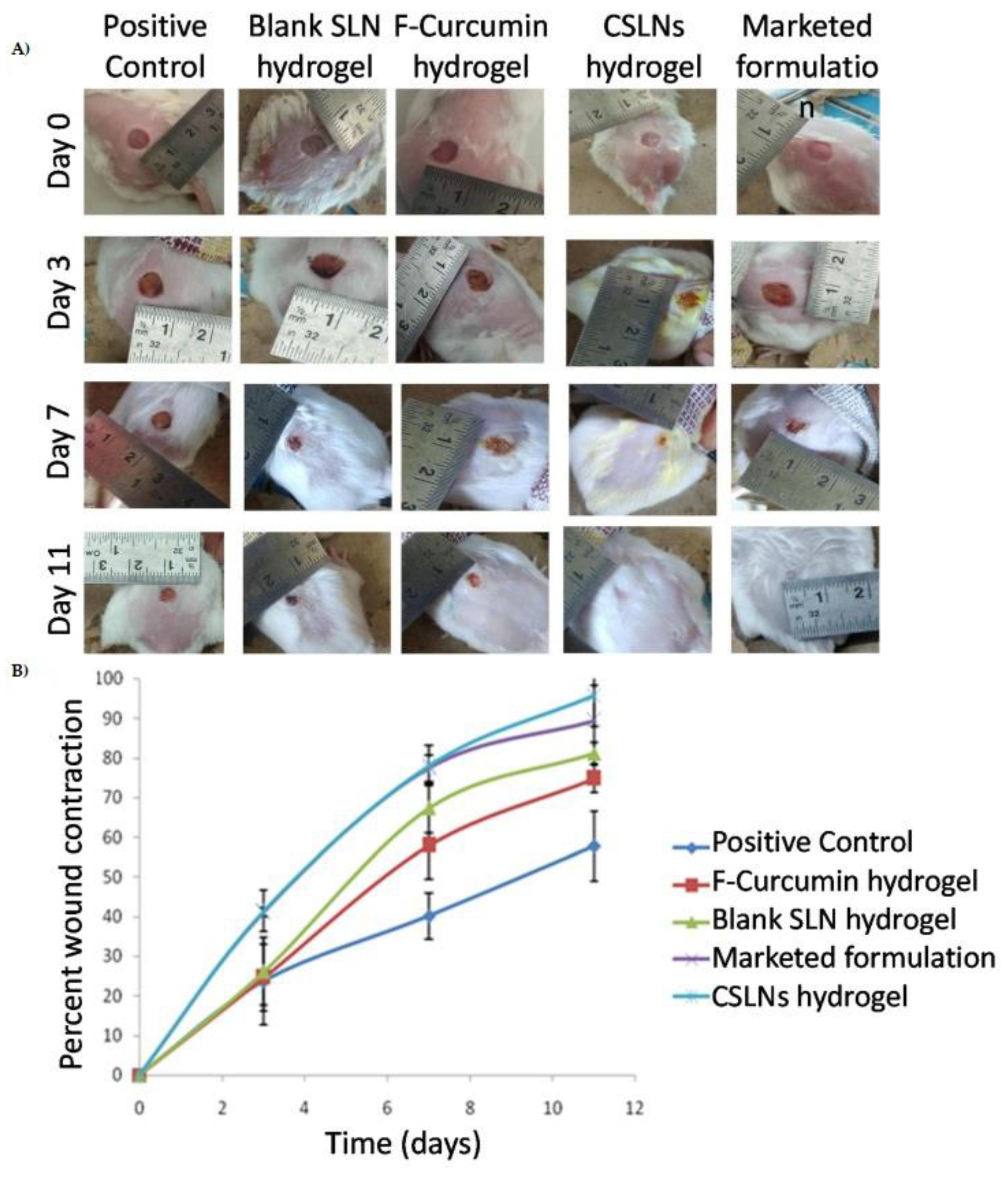 Pharmaceutics 15 00874 g005 Pharmaceutics 15 00874 g005