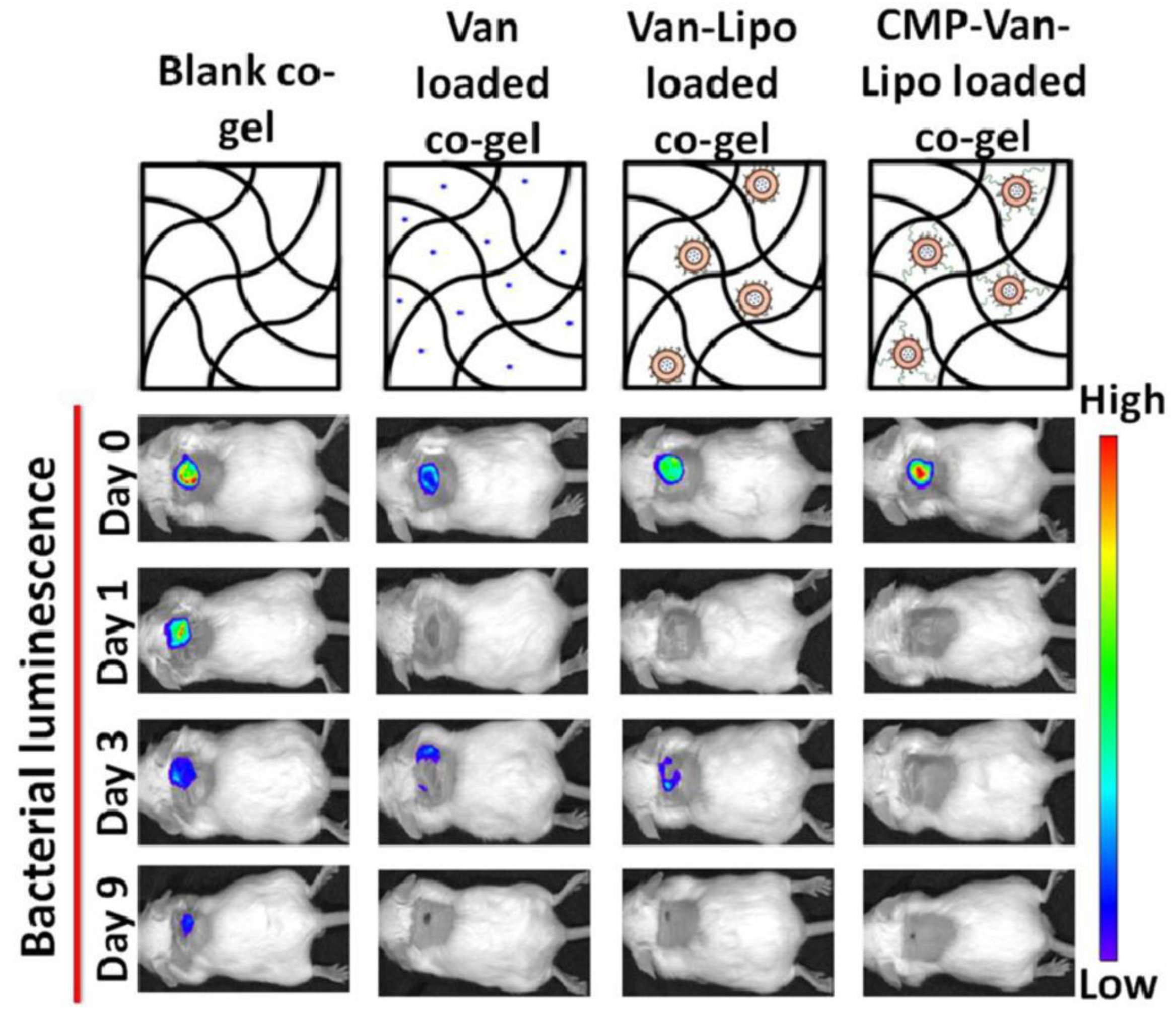 Pharmaceutics 15 00874 g006 Pharmaceutics 15 00874 g006
