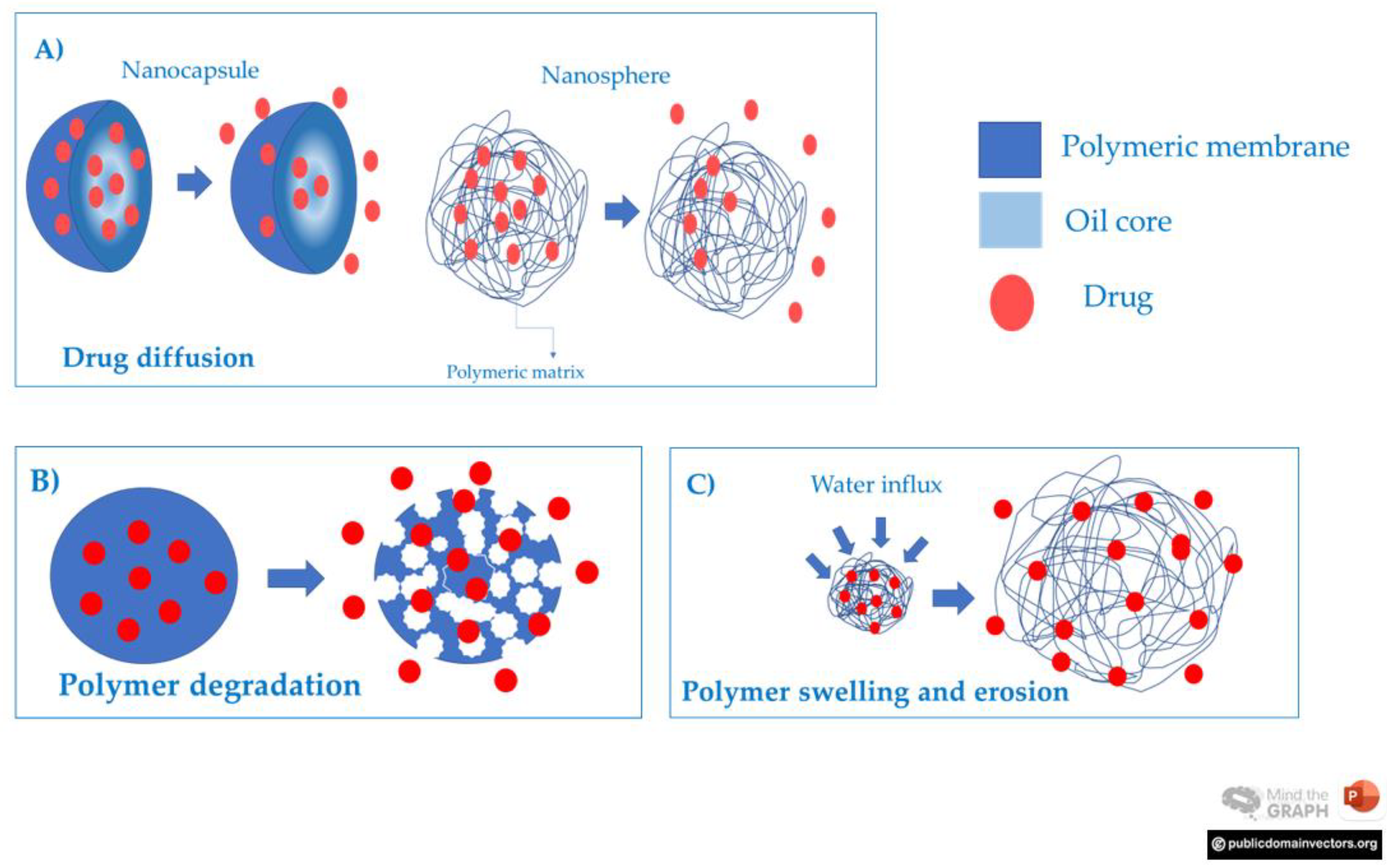 Pharmaceutics 15 00874 g007 Pharmaceutics 15 00874 g007