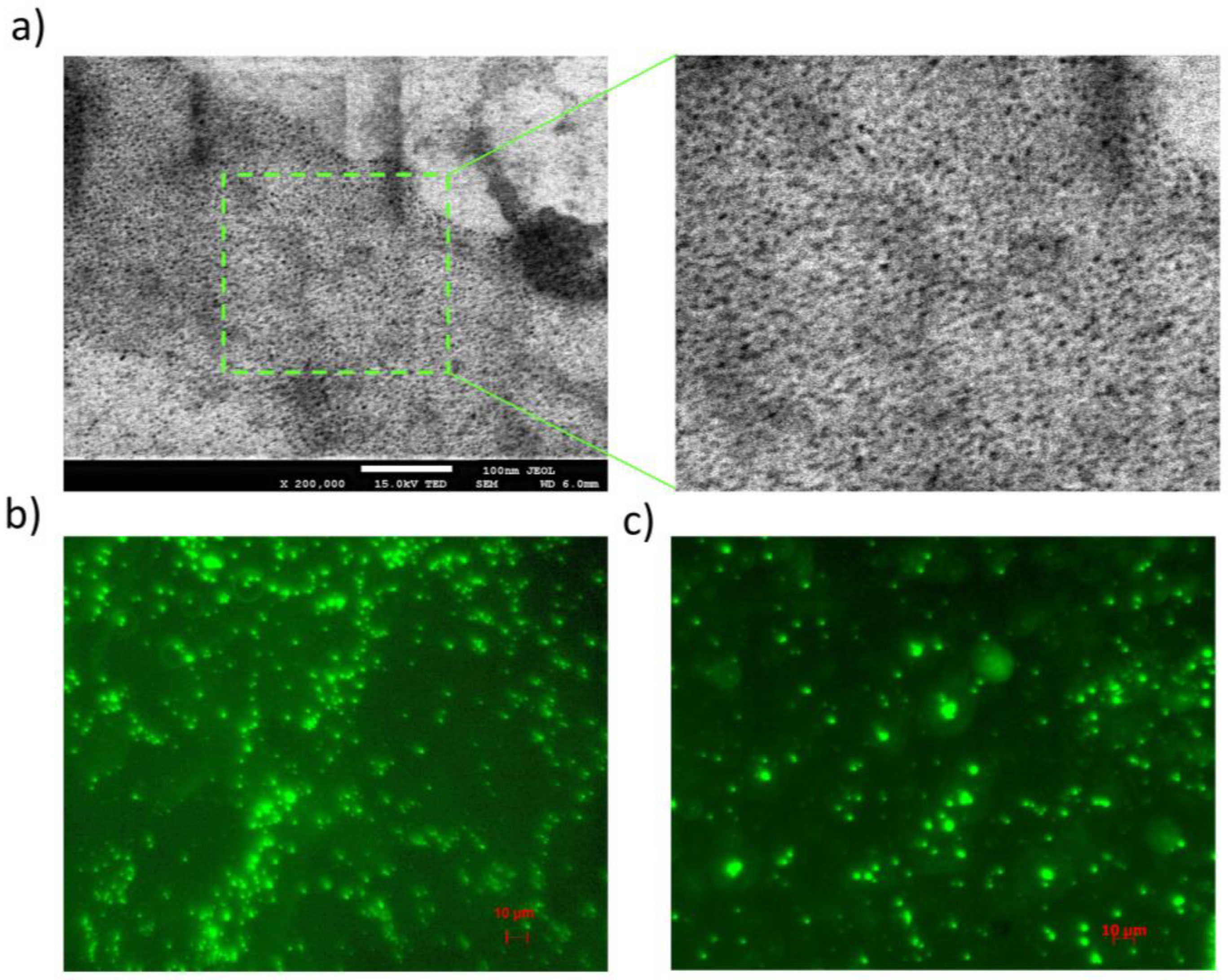 Pharmaceutics 15 00875 g007 Pharmaceutics 15 00875 g007