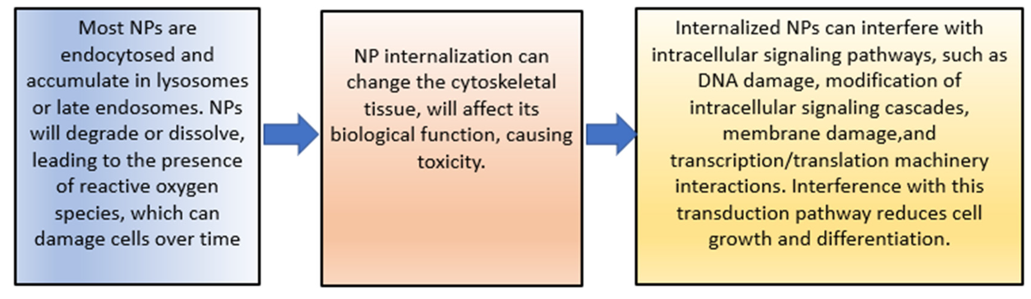Pharmaceutics 15 00879 g006 Pharmaceutics 15 00879 g006